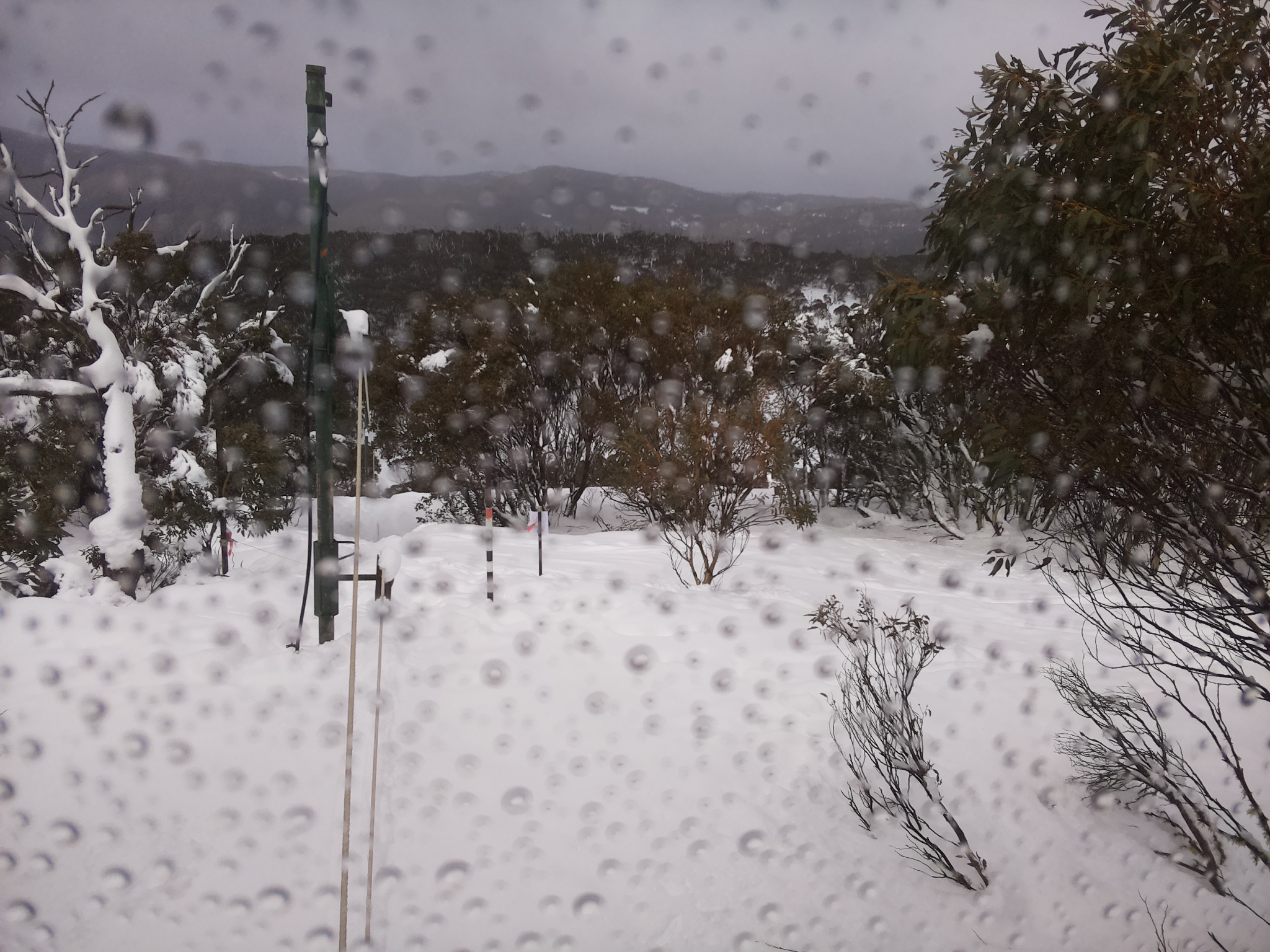 Bogong Web Cam 11:50am Monday 28th of July 2025