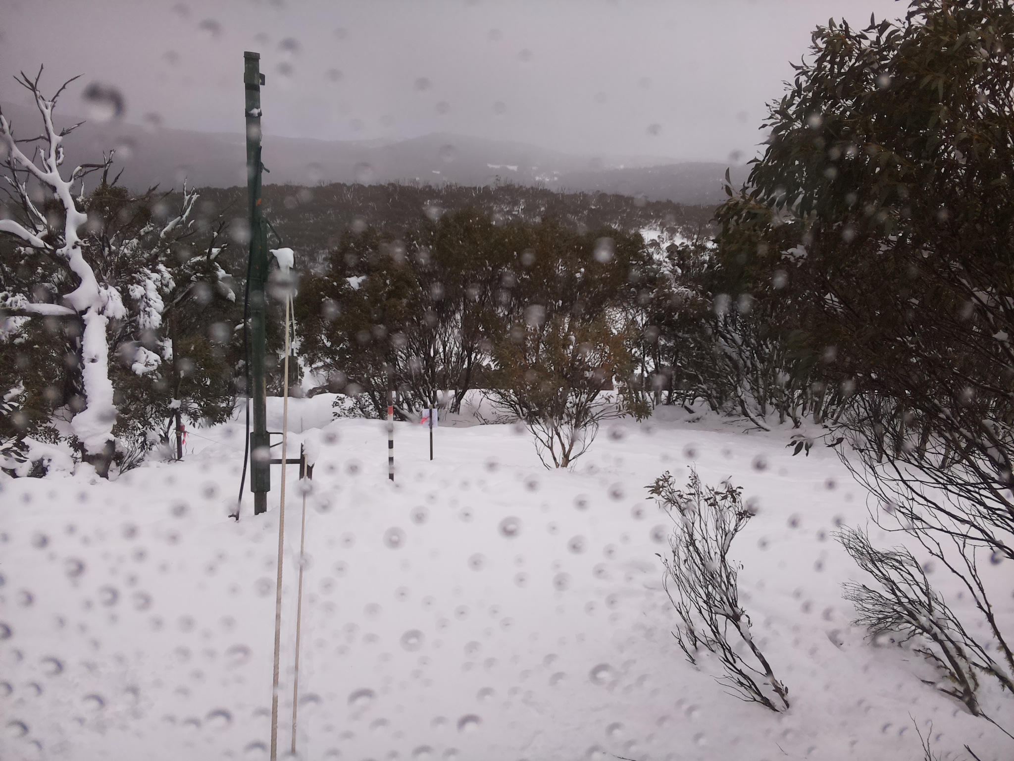 Bogong Web Cam 12:20pm Monday 28th of July 2025