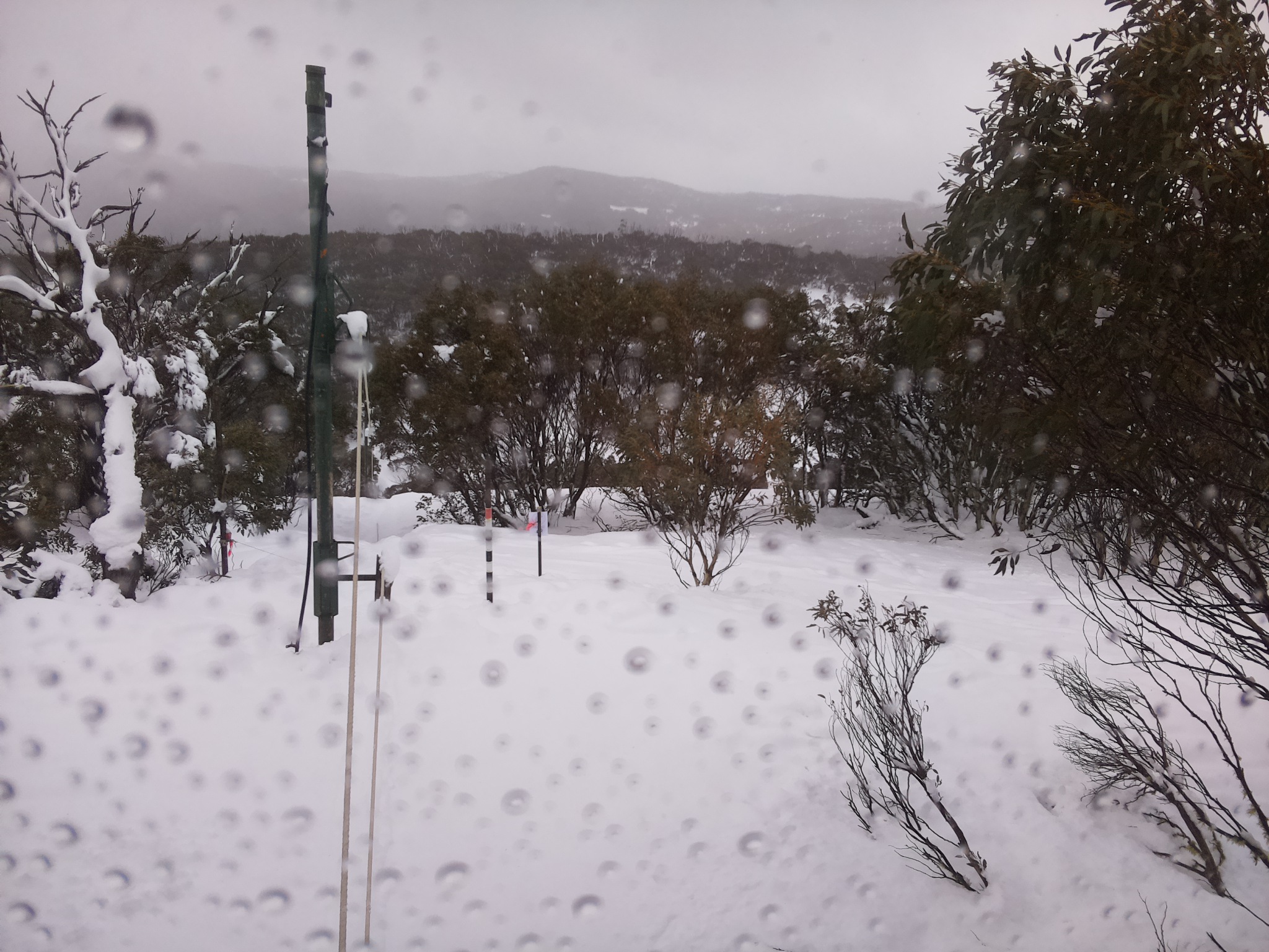 Bogong Web Cam 12:40pm Monday 28th of July 2025