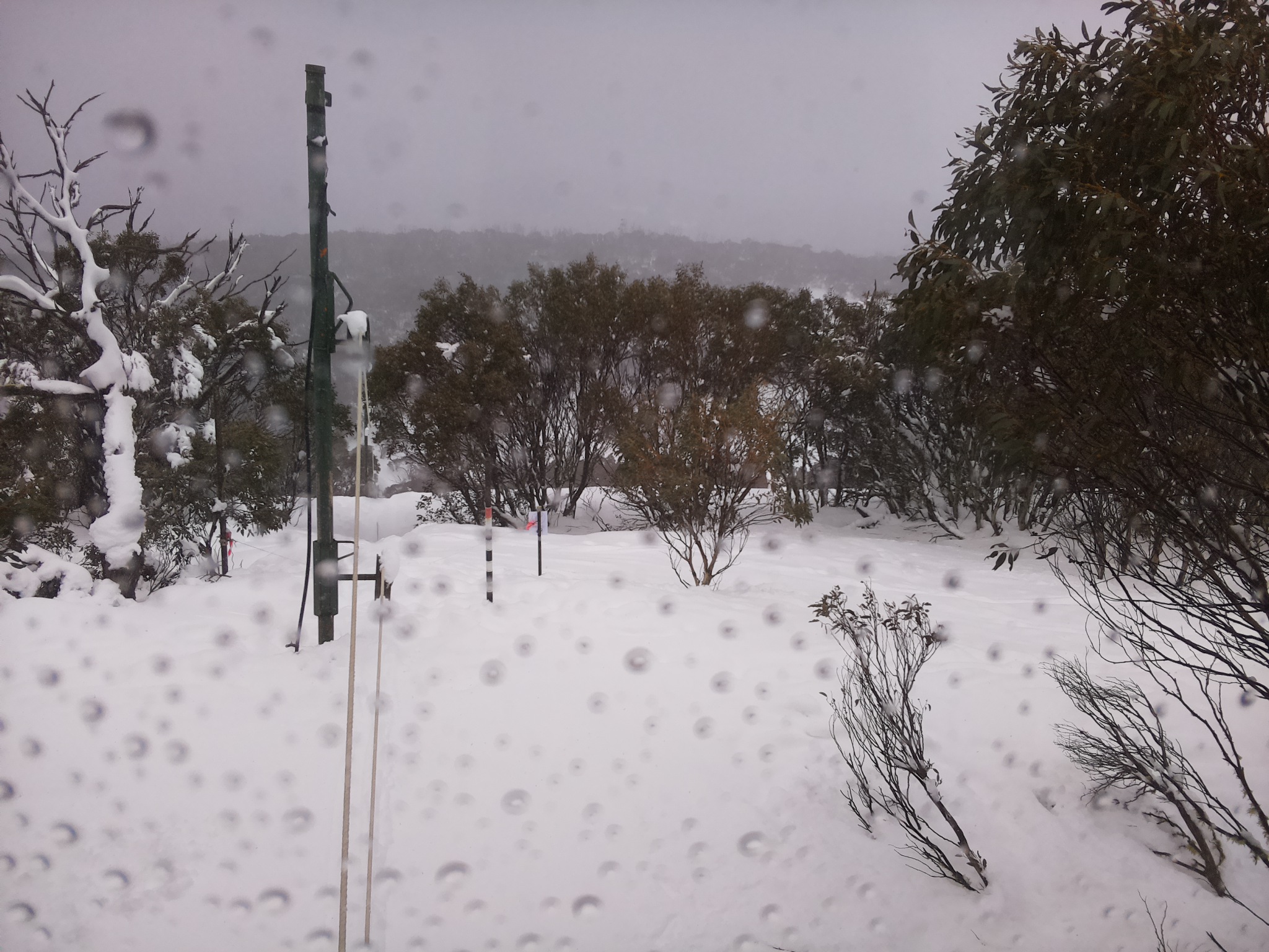Bogong Web Cam 12:50pm Monday 28th of July 2025