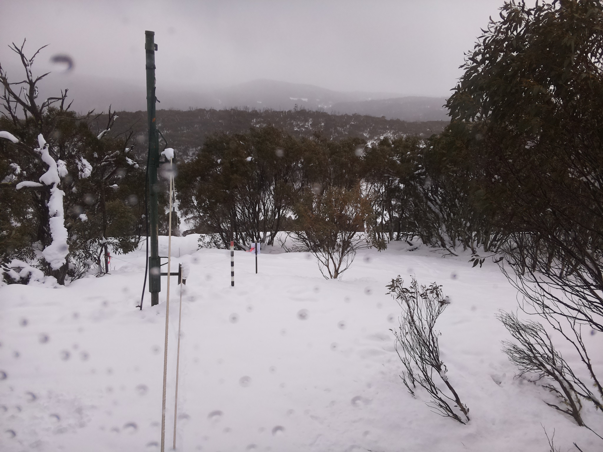 Bogong Web Cam 1:50pm Monday 28th of July 2025