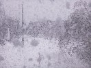 Thumbnail 8:10am Thursday 31st of July 2025