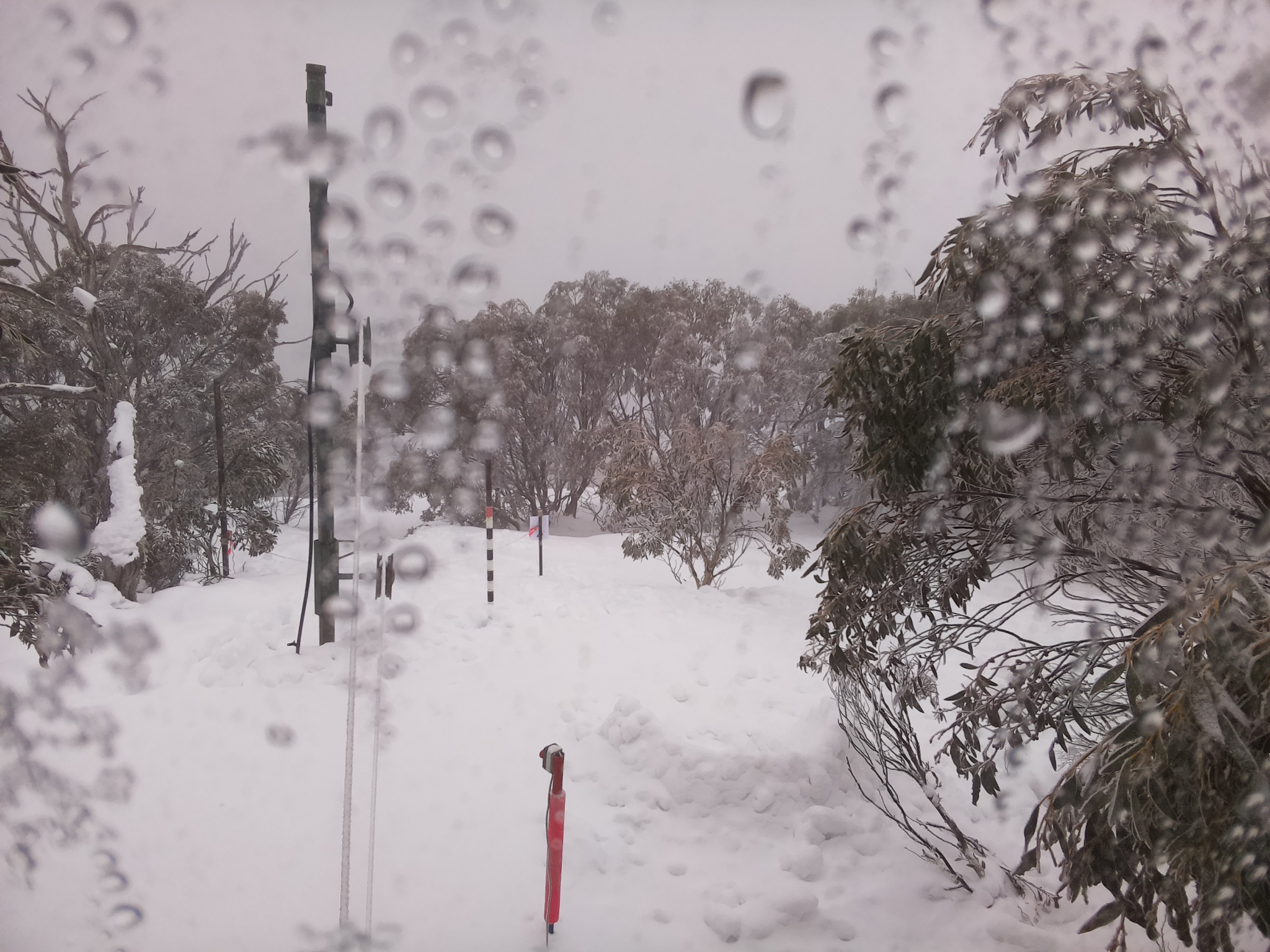 Bogong Web Cam 10:00am Thursday 31st of July 2025