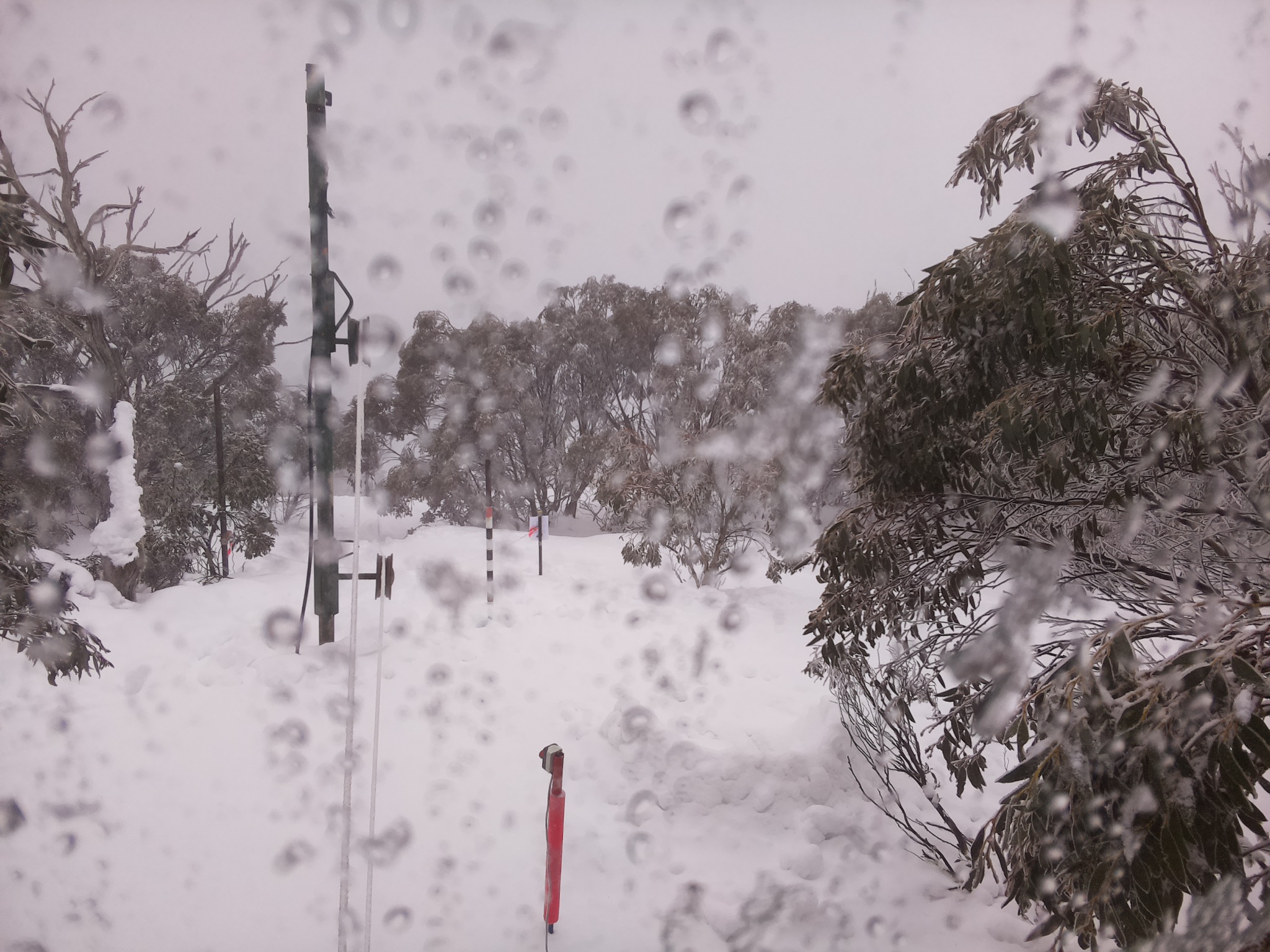 Bogong Web Cam 11:40am Thursday 31st of July 2025