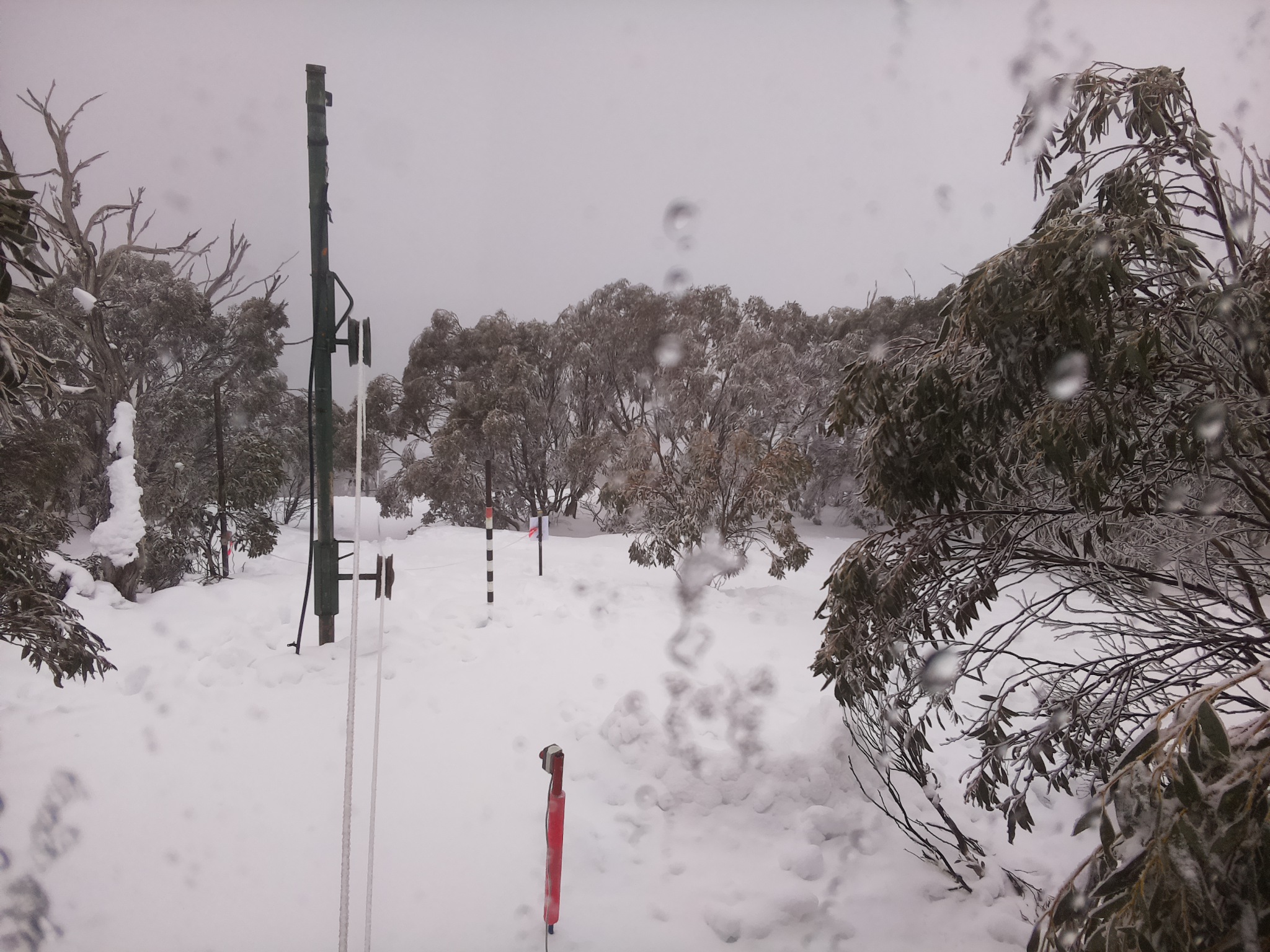 Bogong Web Cam 11:50am Thursday 31st of July 2025