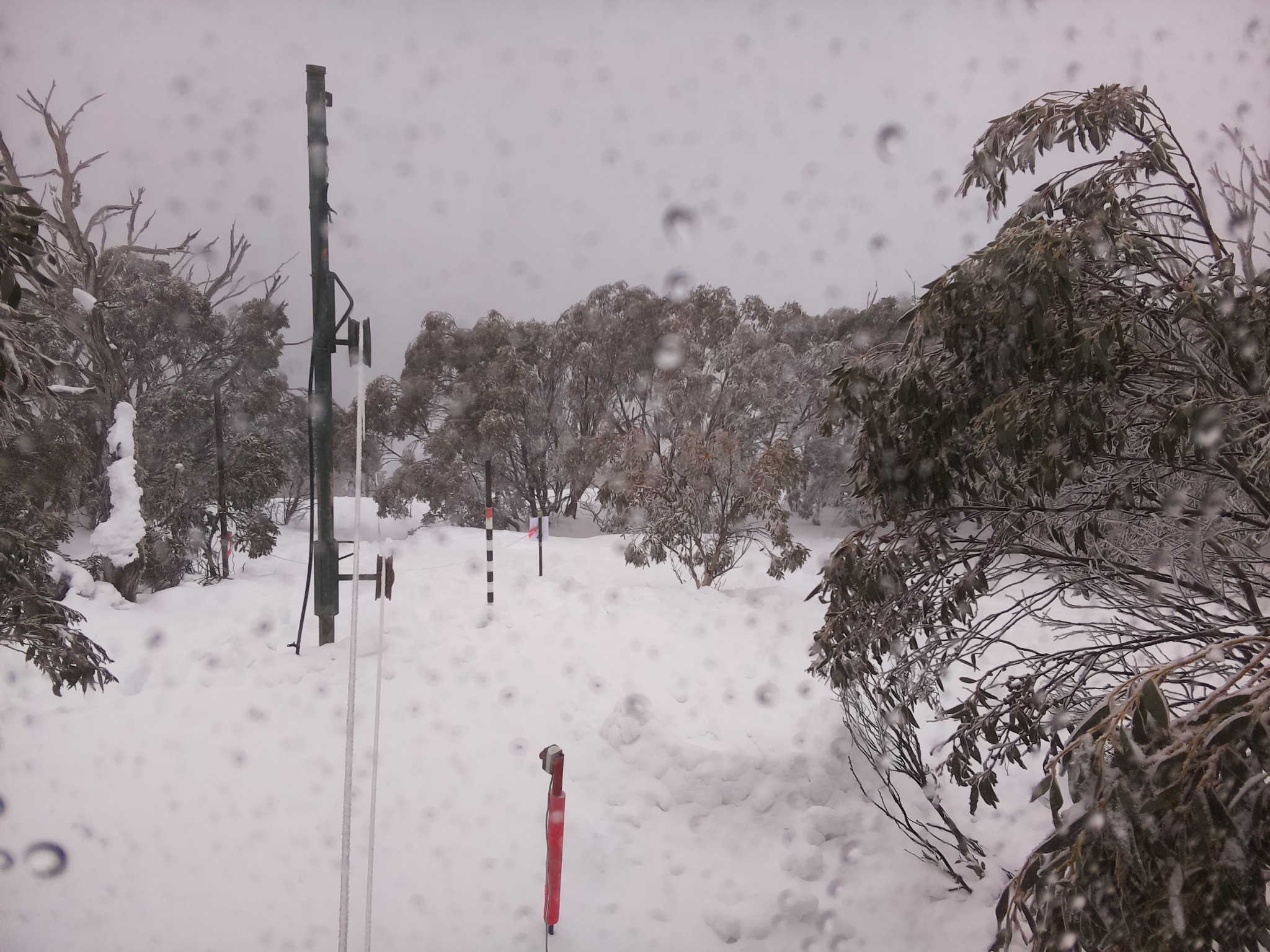 Bogong Web Cam 12:00pm Thursday 31st of July 2025