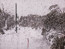 Selected Thumbnail 12:30pm Thursday 31st of July 2025