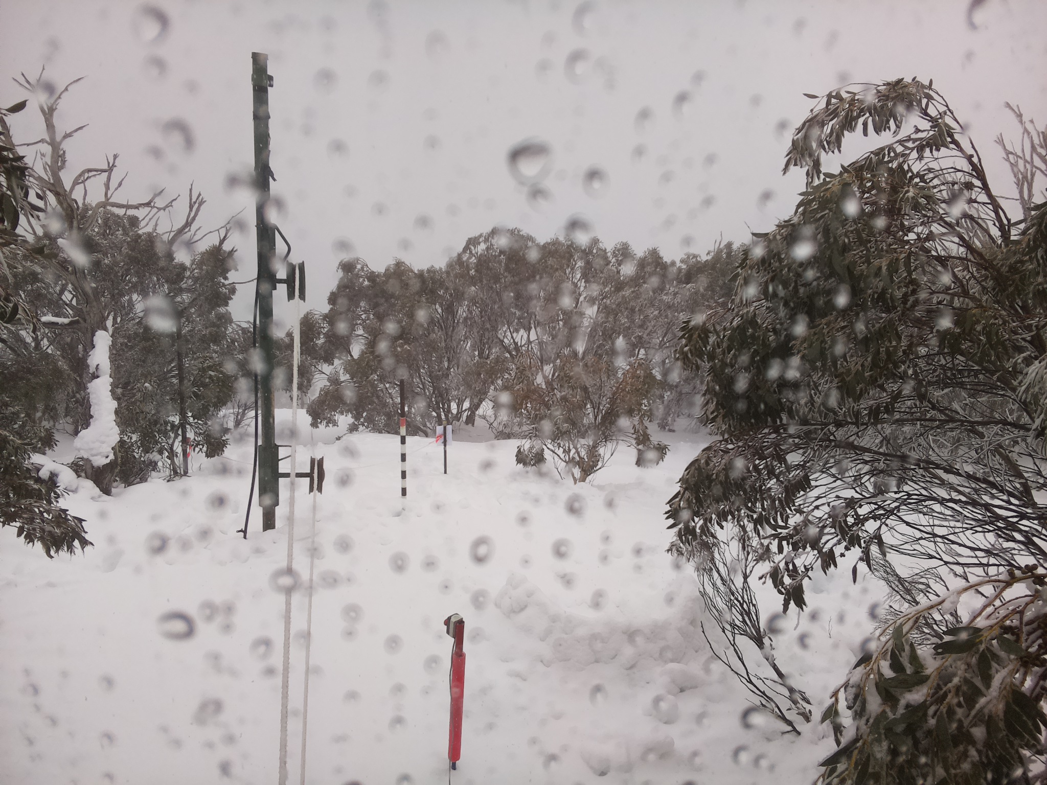 Bogong Web Cam 2:40pm Thursday 31st of July 2025
