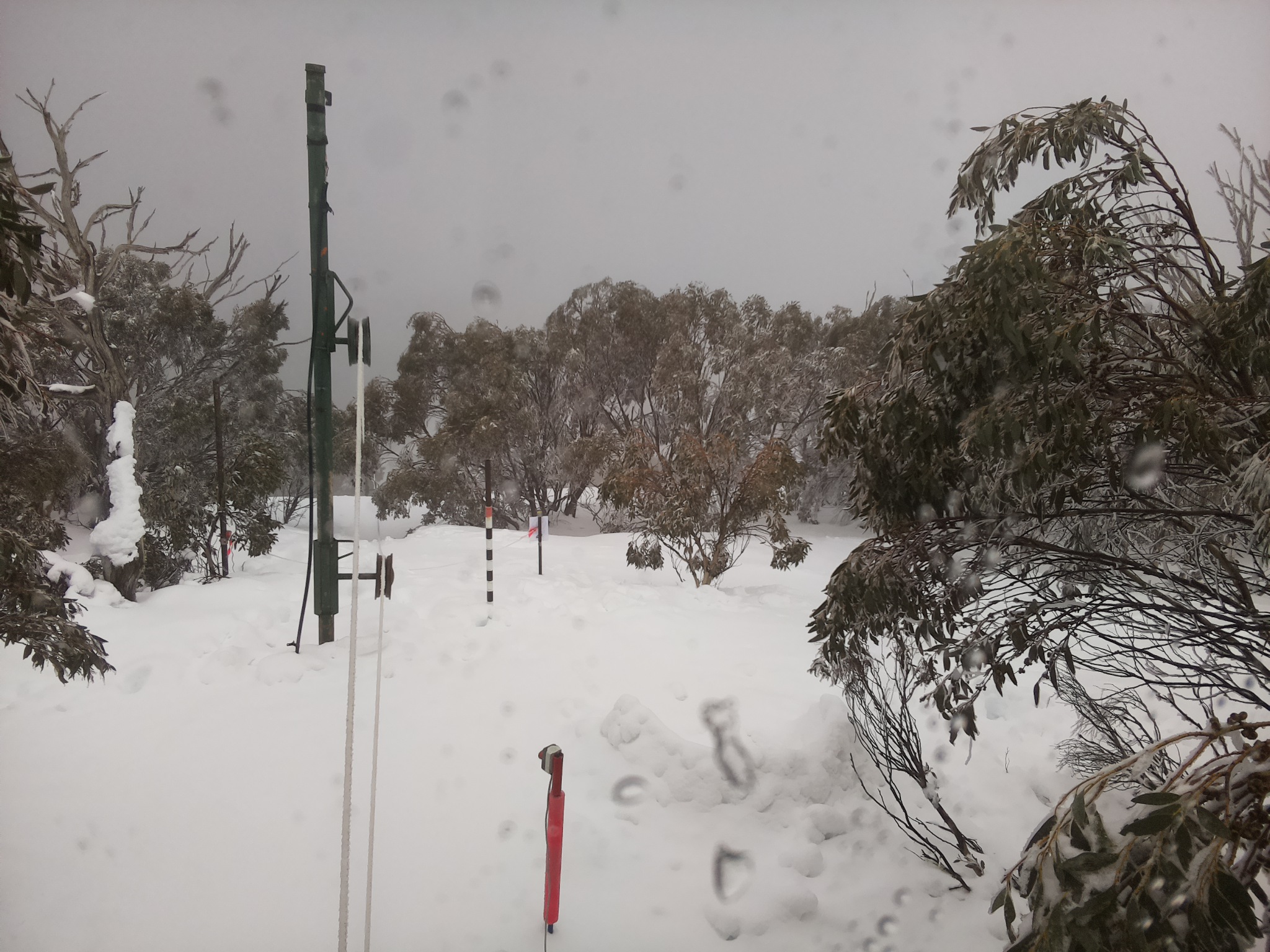 Bogong Web Cam 3:10pm Thursday 31st of July 2025