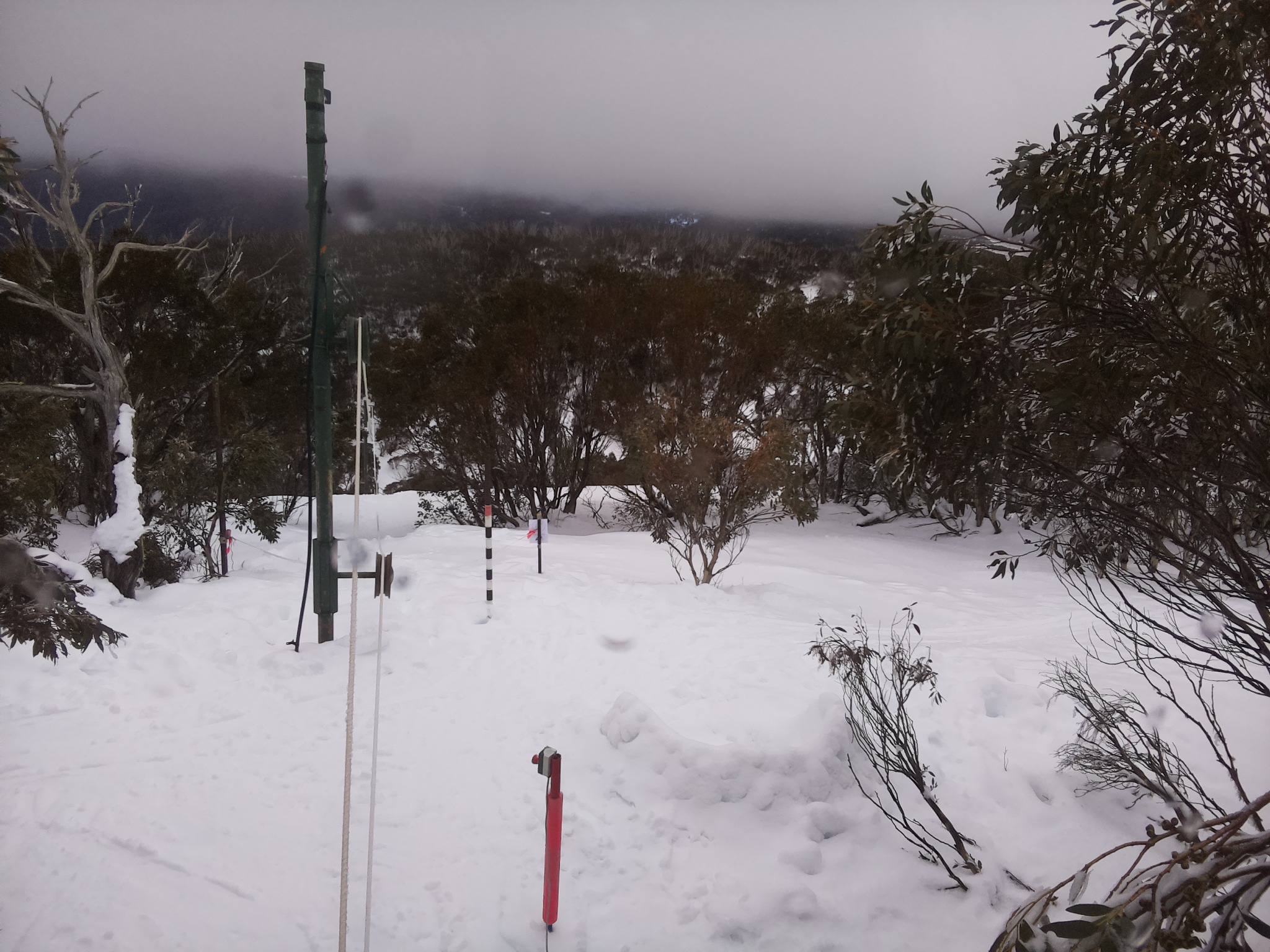 Bogong Web Cam 4:50pm Friday 1st of August 2025
