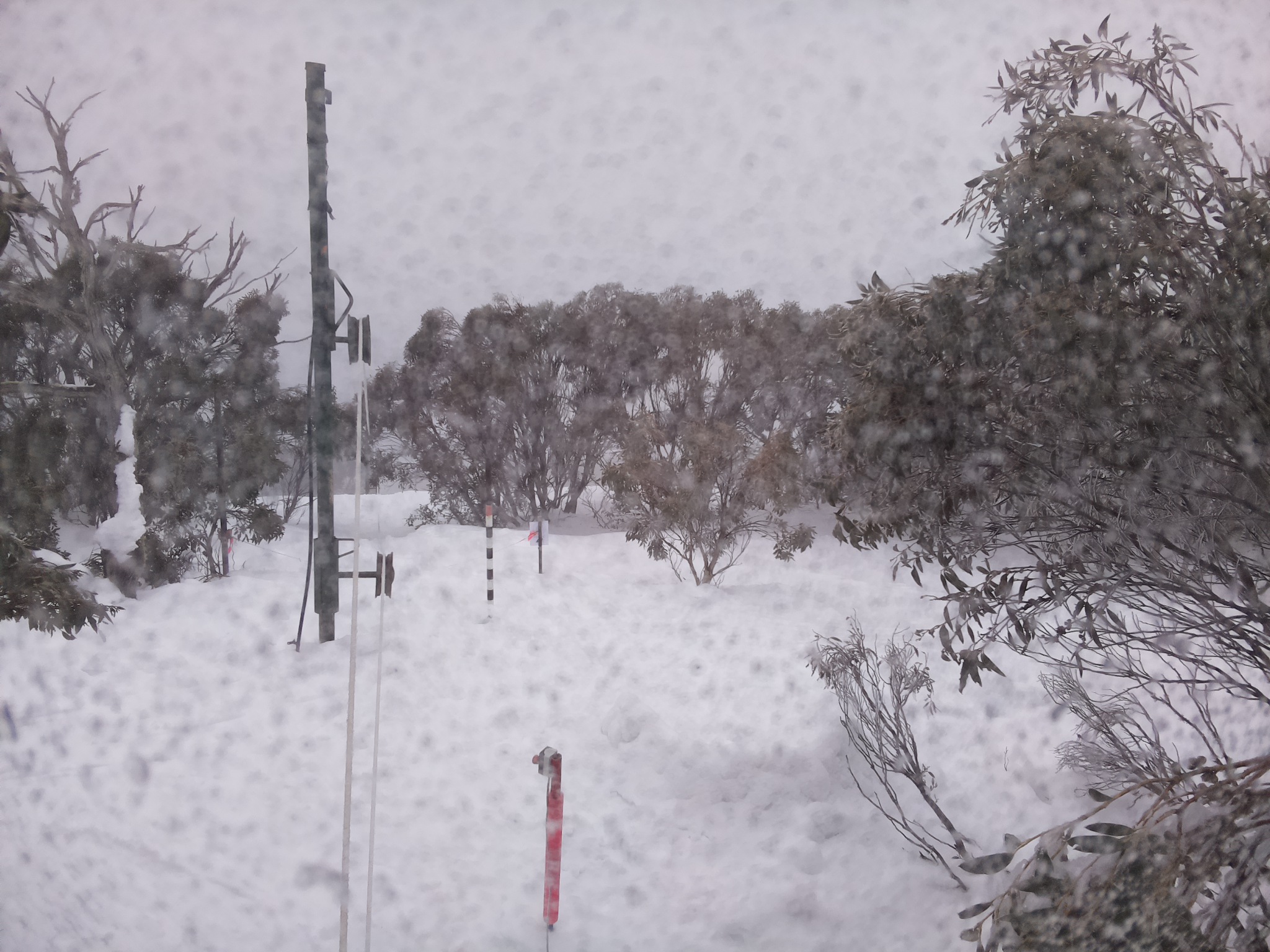Bogong Web Cam 8:00am Saturday 2nd of August 2025
