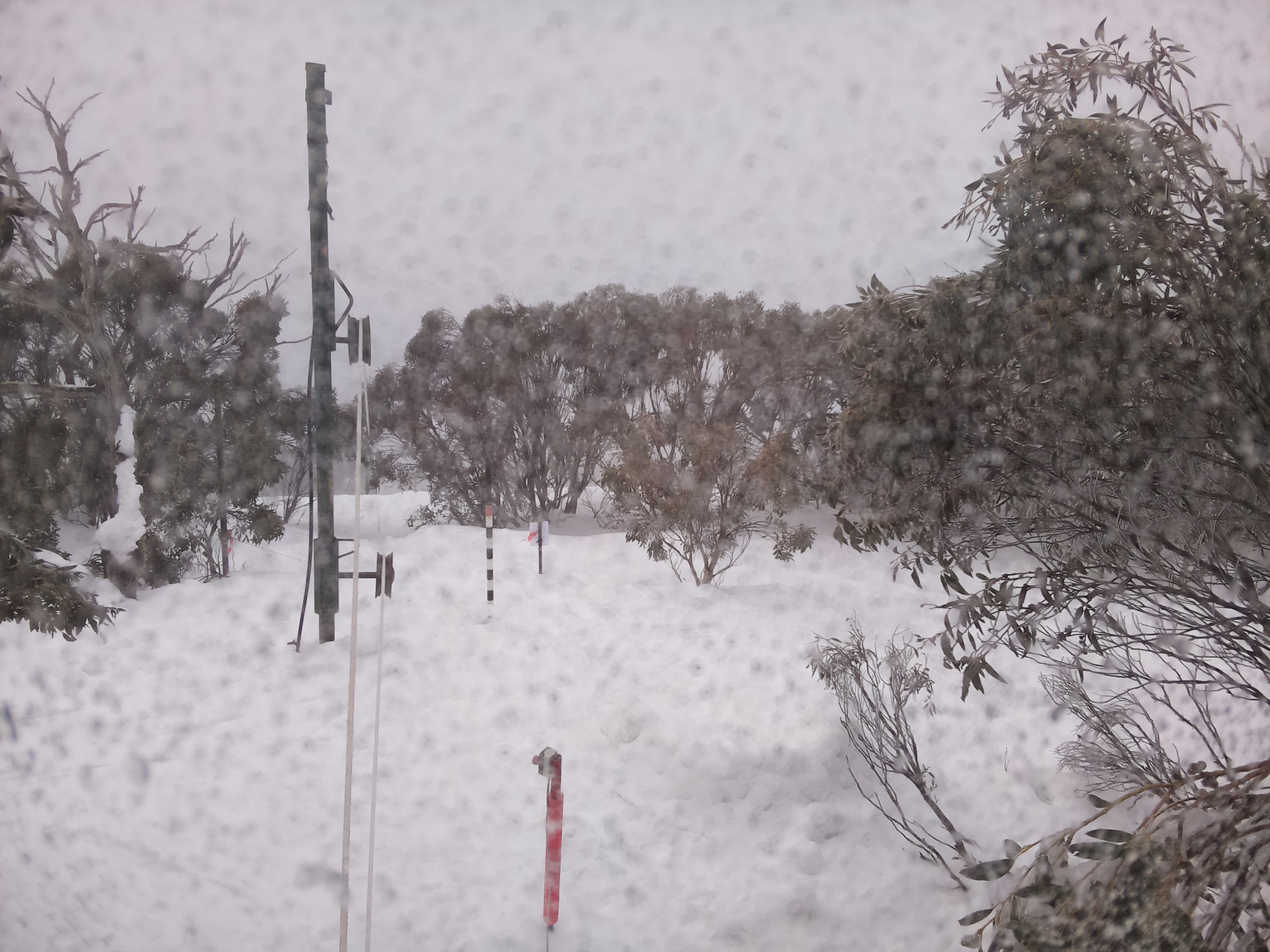 Bogong Web Cam 8:20am Saturday 2nd of August 2025