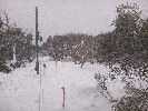 Thumbnail 8:20am Saturday 2nd of August 2025