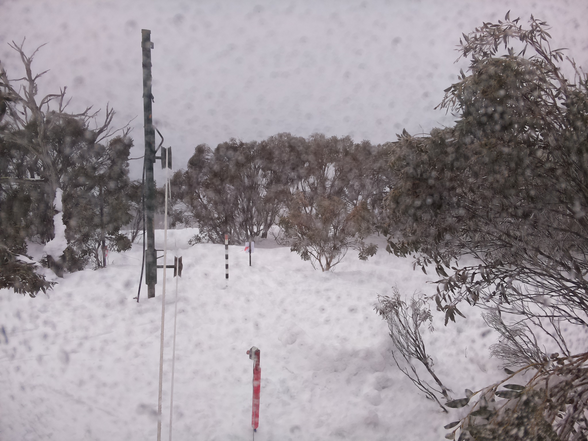 Bogong Web Cam 8:40am Saturday 2nd of August 2025