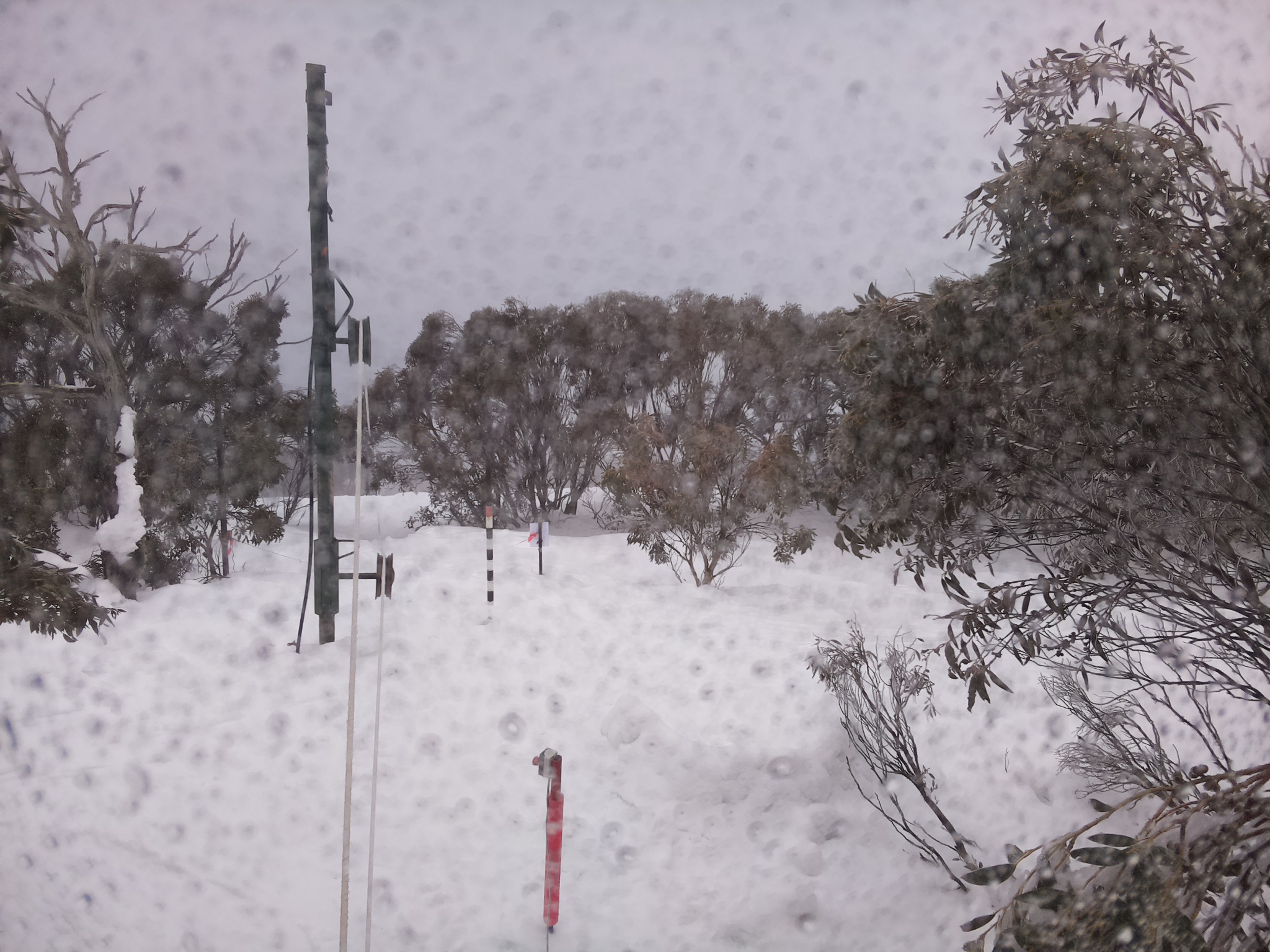 Bogong Web Cam 8:50am Saturday 2nd of August 2025