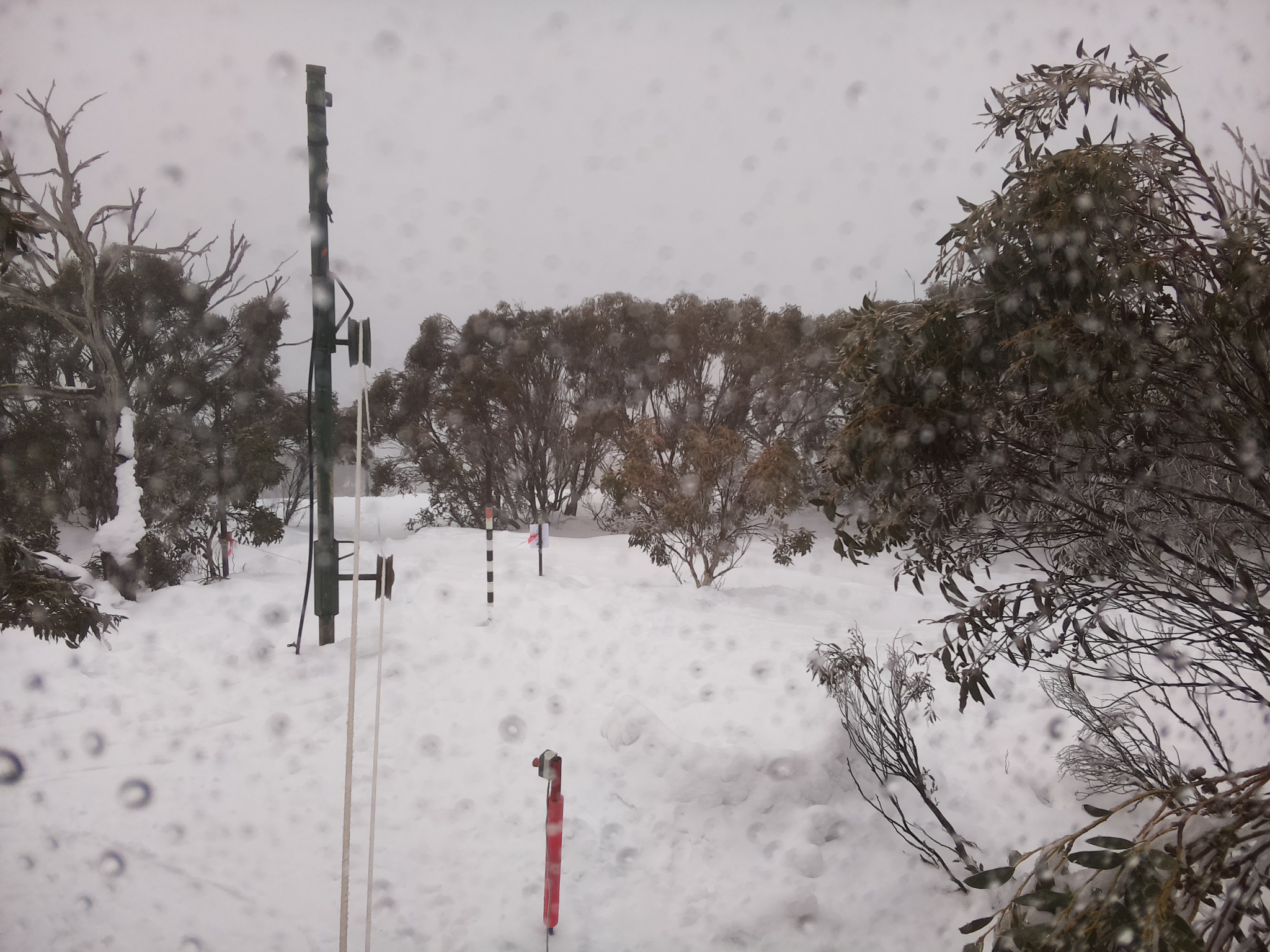 Bogong Web Cam 9:50am Saturday 2nd of August 2025