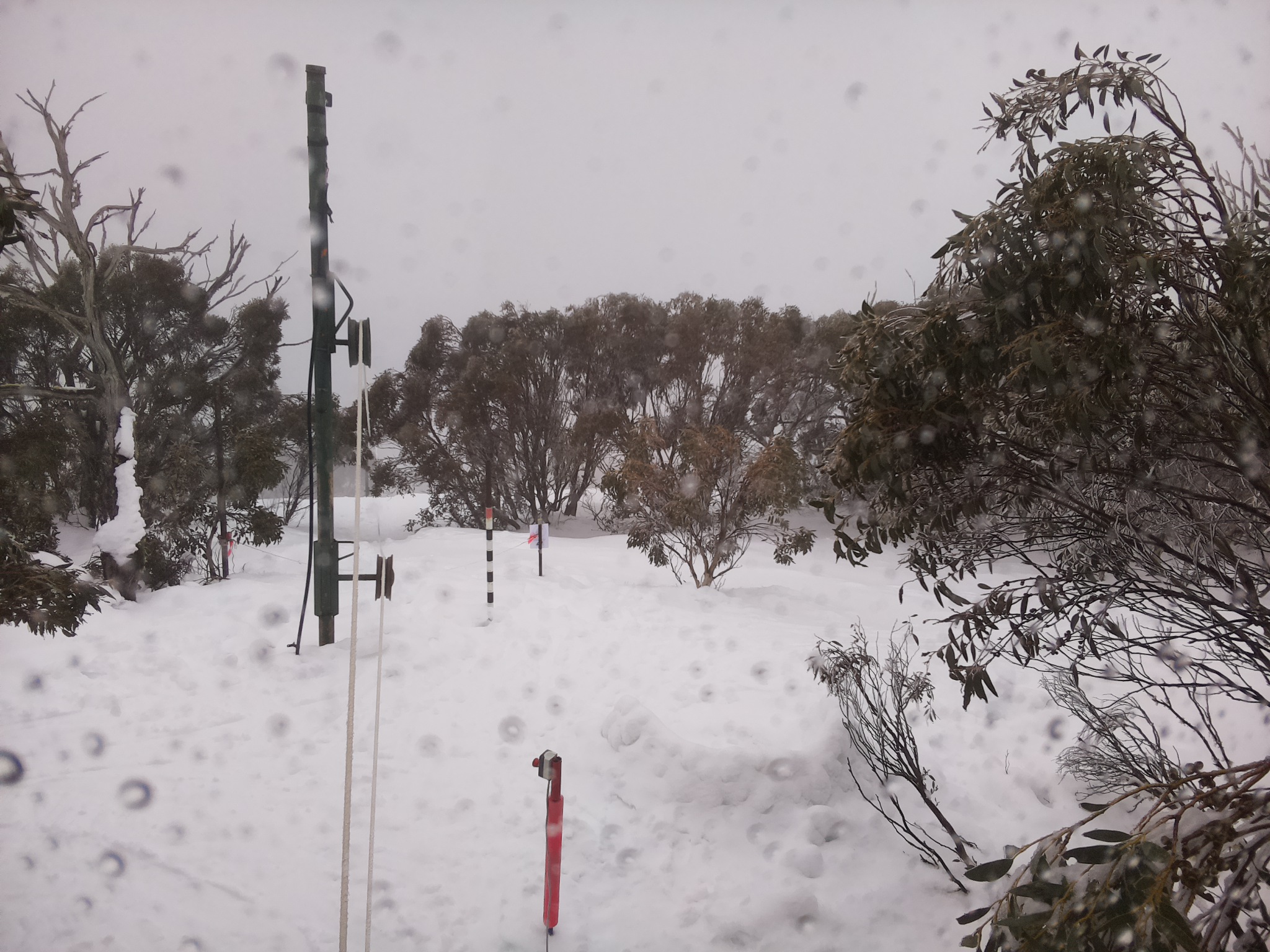 Bogong Web Cam 10:10am Saturday 2nd of August 2025