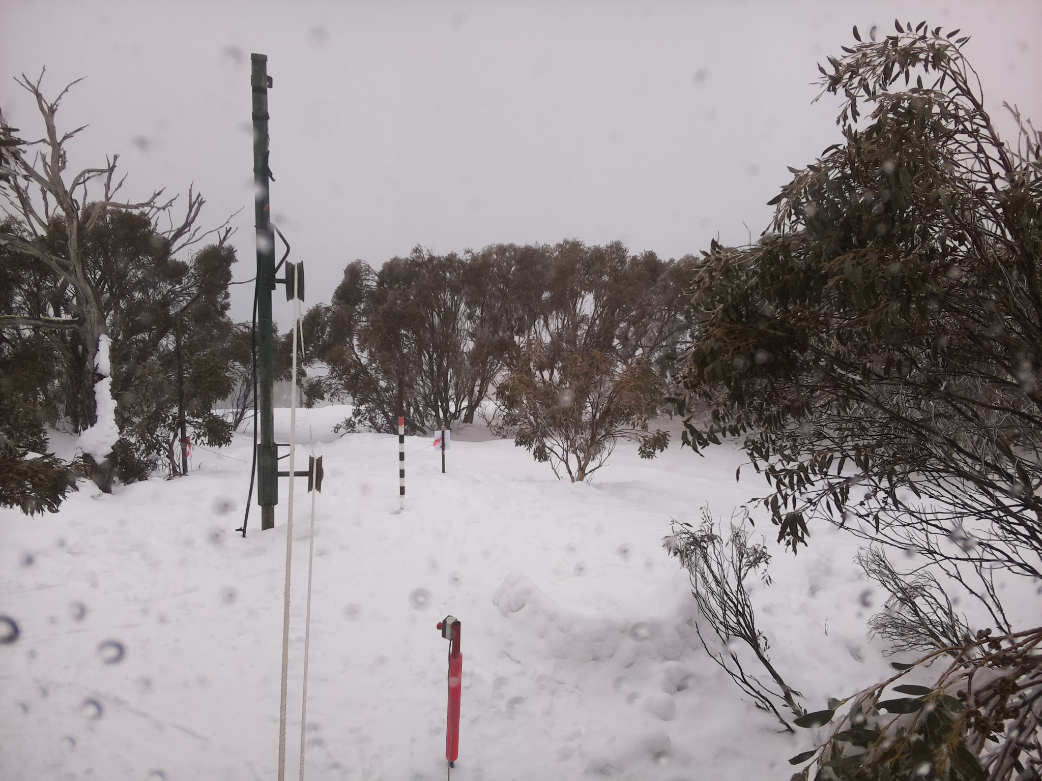 Bogong Web Cam 10:30am Saturday 2nd of August 2025