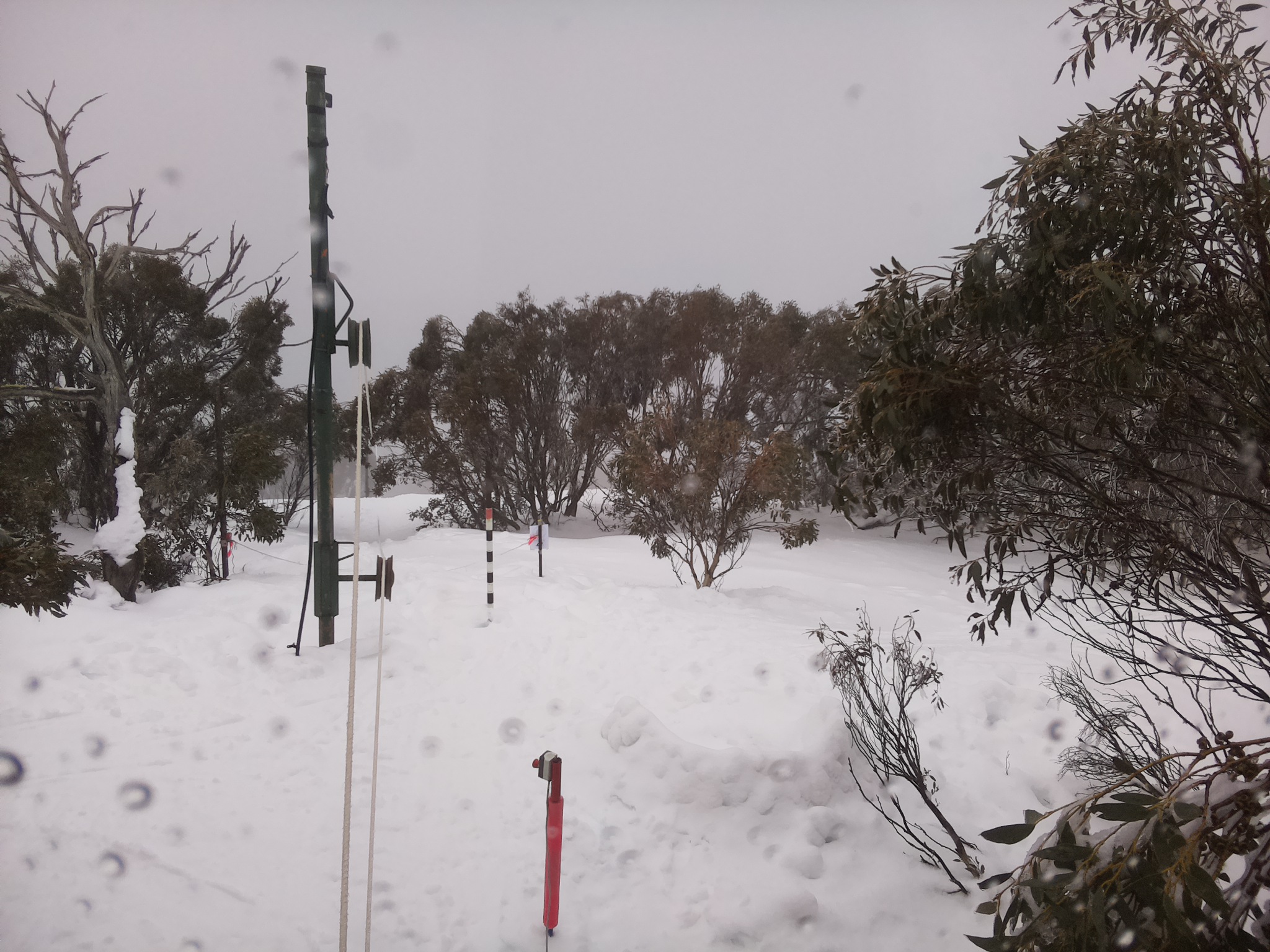 Bogong Web Cam 10:50am Saturday 2nd of August 2025