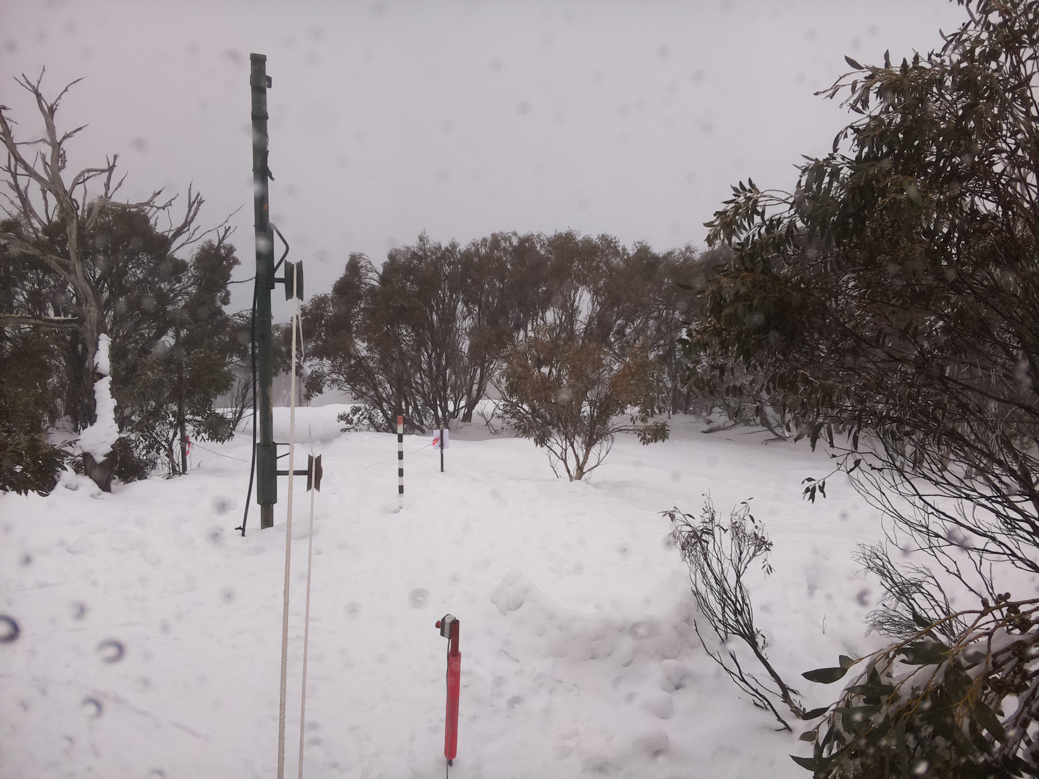 Bogong Web Cam 11:00am Saturday 2nd of August 2025