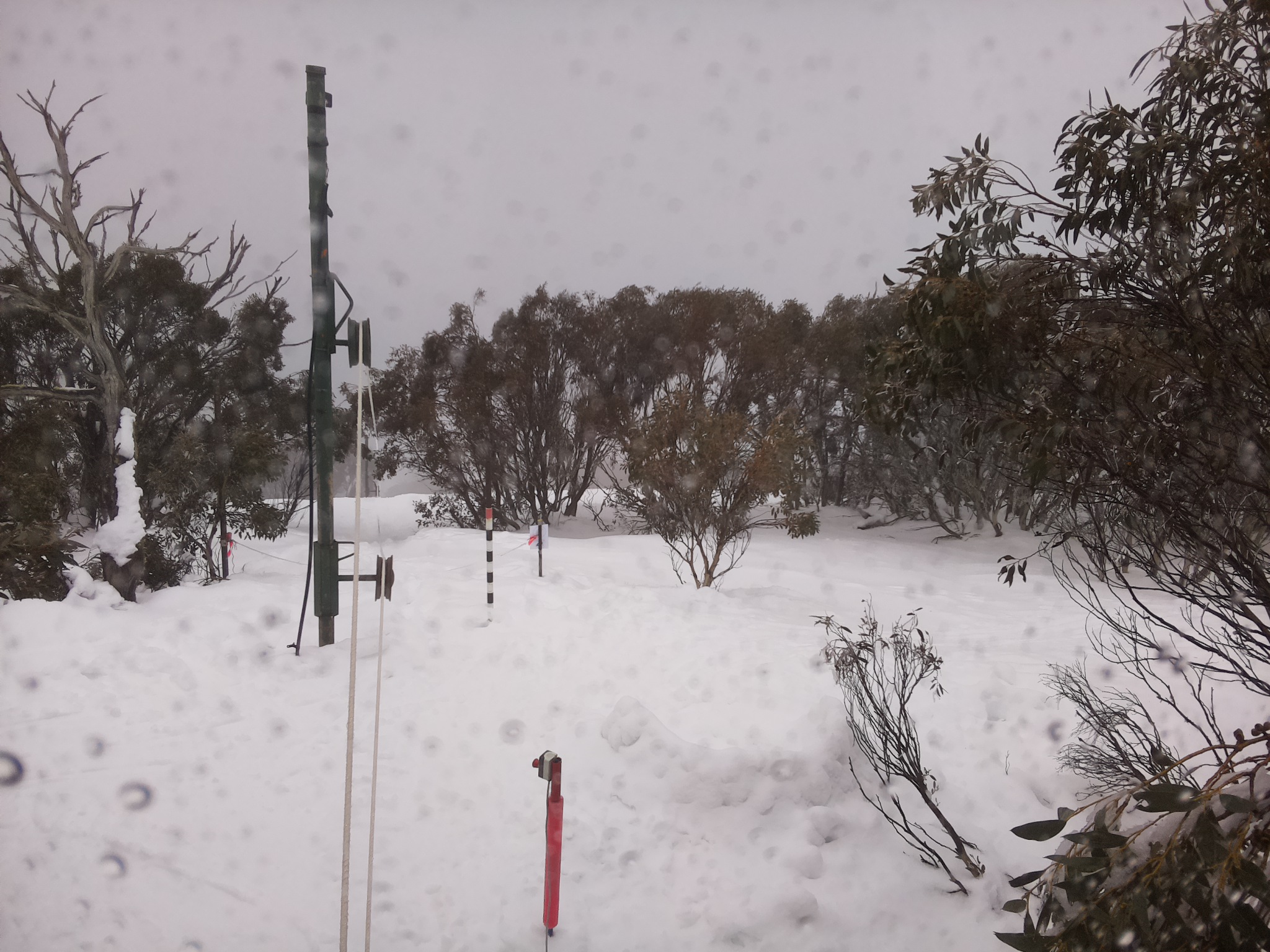 Bogong Web Cam 11:10am Saturday 2nd of August 2025