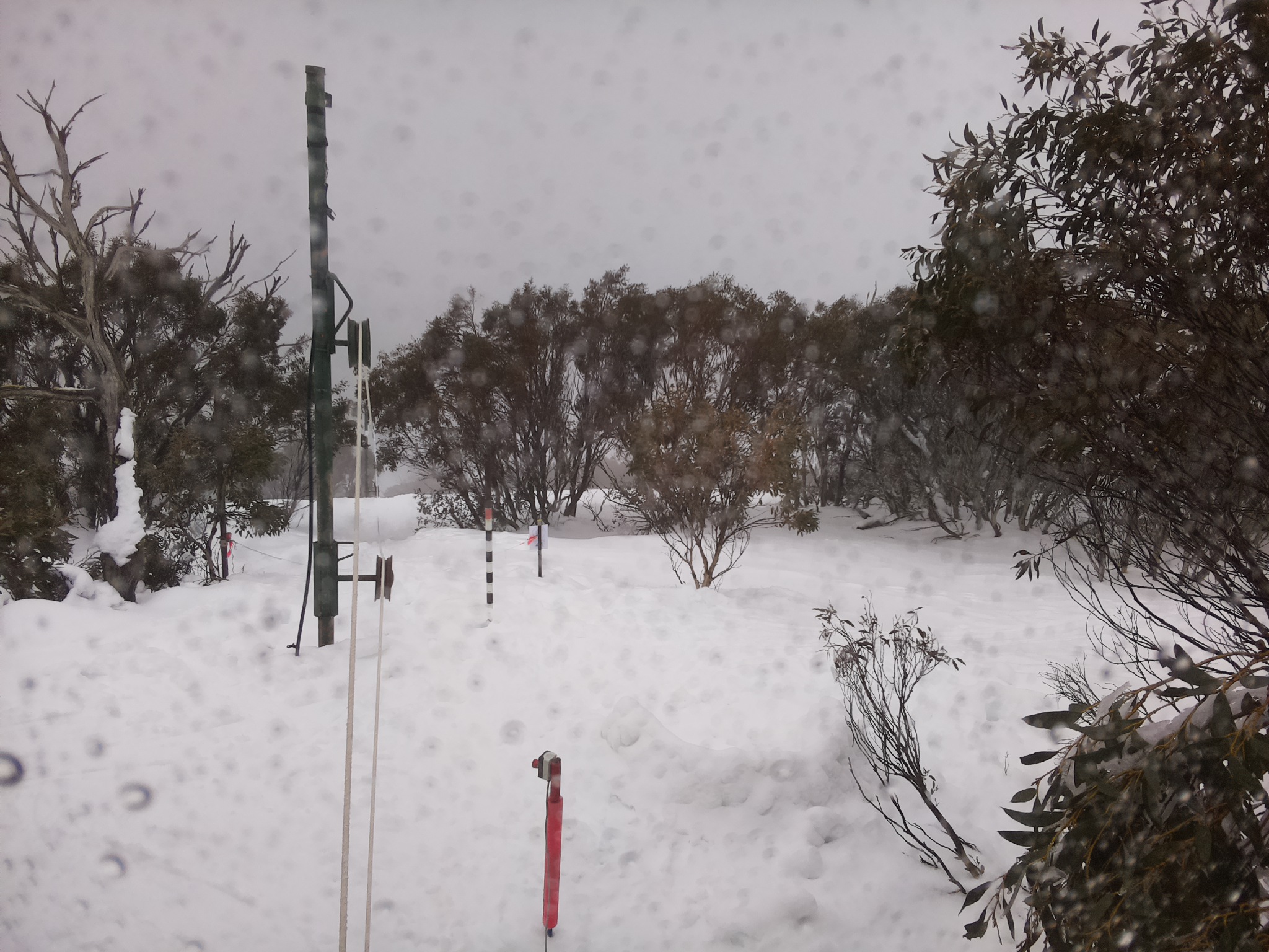 Bogong Web Cam 11:30am Saturday 2nd of August 2025