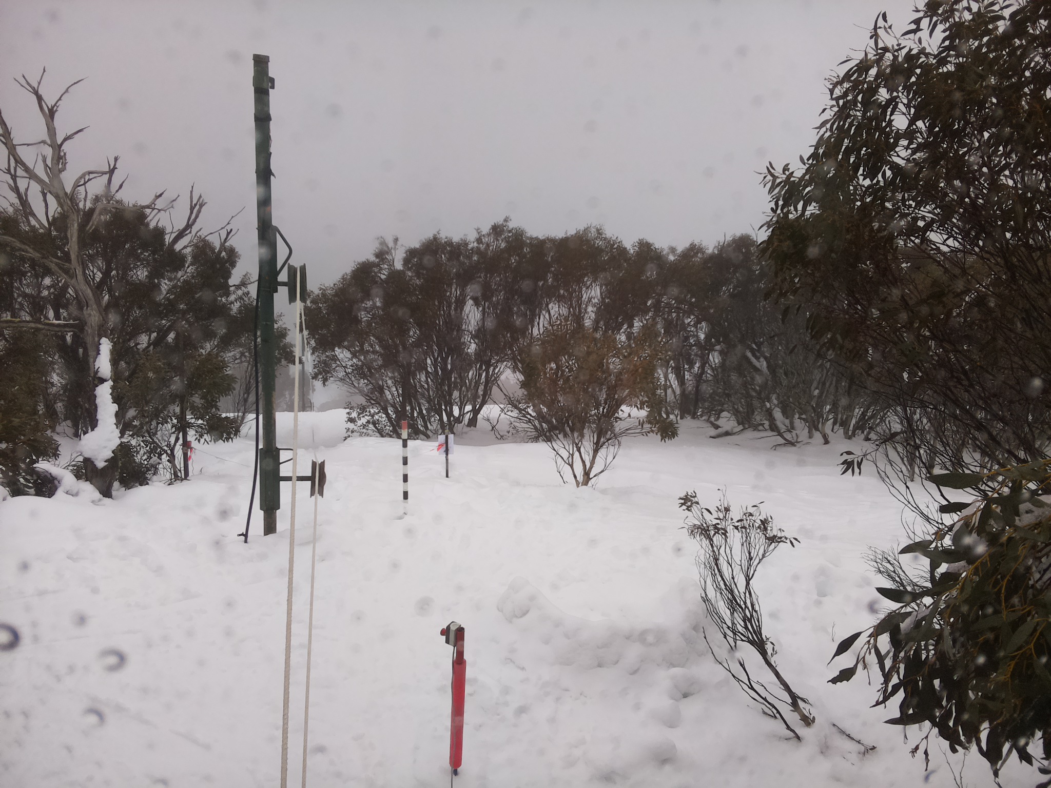 Bogong Web Cam 11:50am Saturday 2nd of August 2025