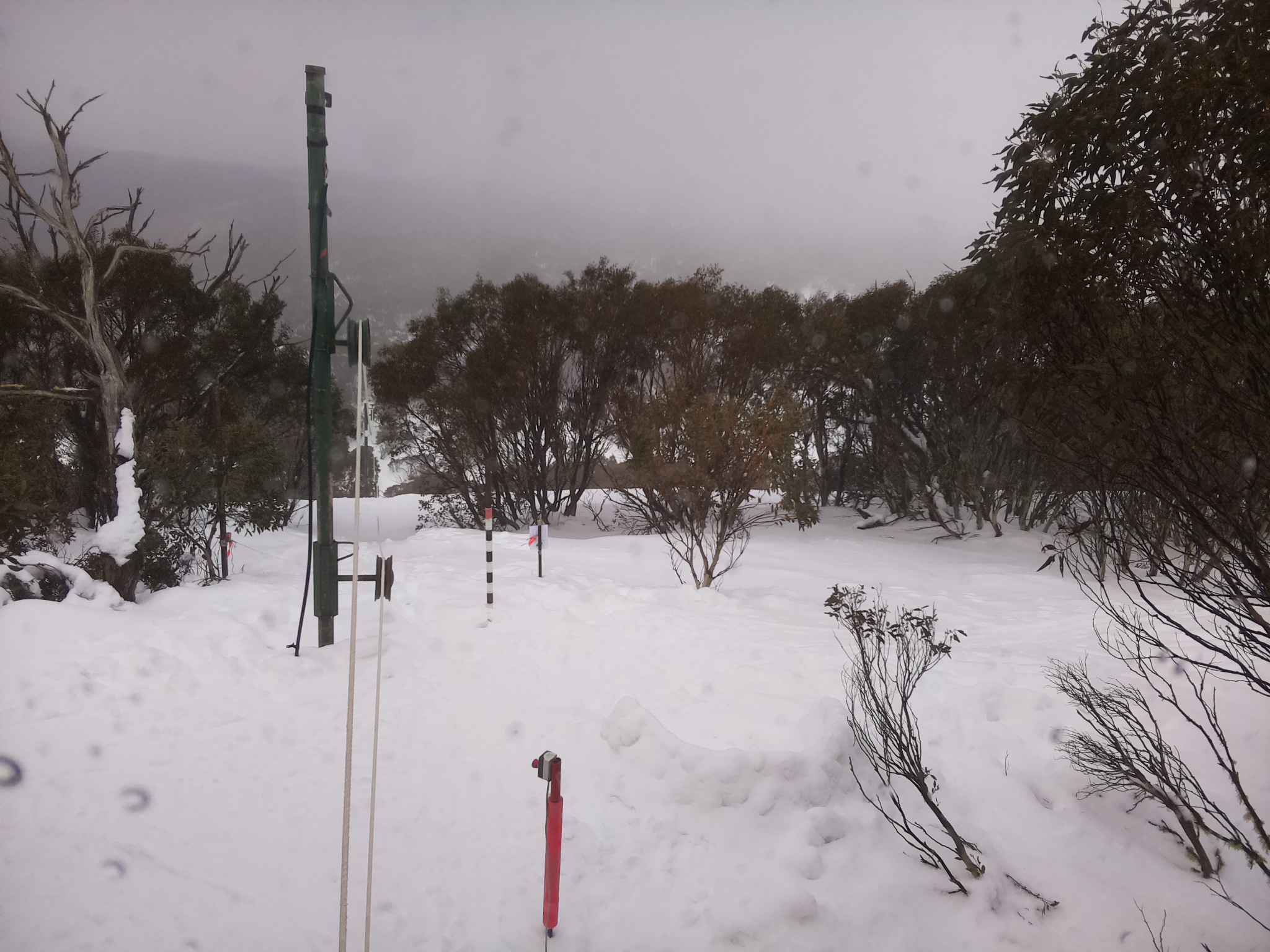 Bogong Web Cam 12:30pm Saturday 2nd of August 2025