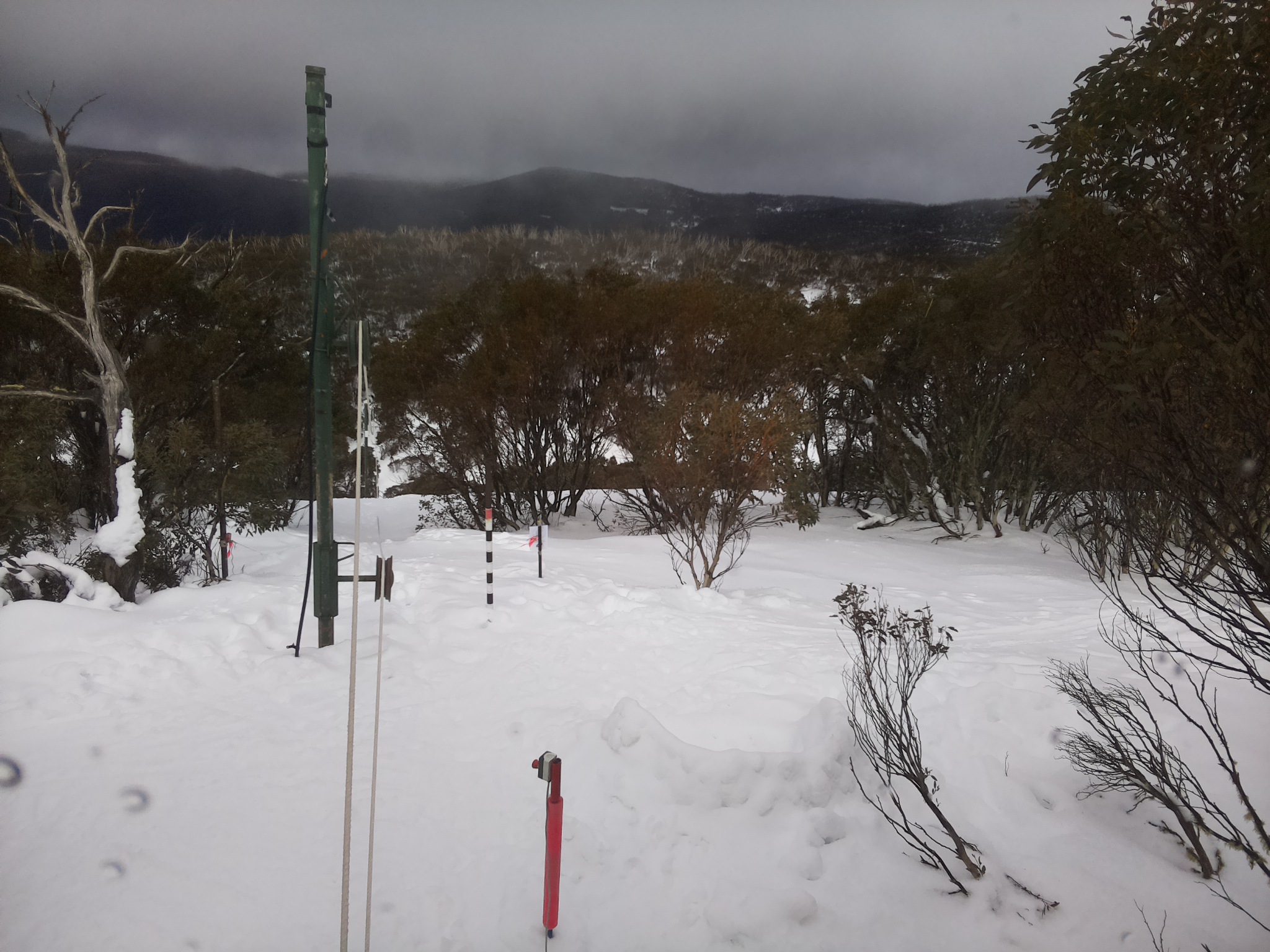 Bogong Web Cam 12:40pm Saturday 2nd of August 2025