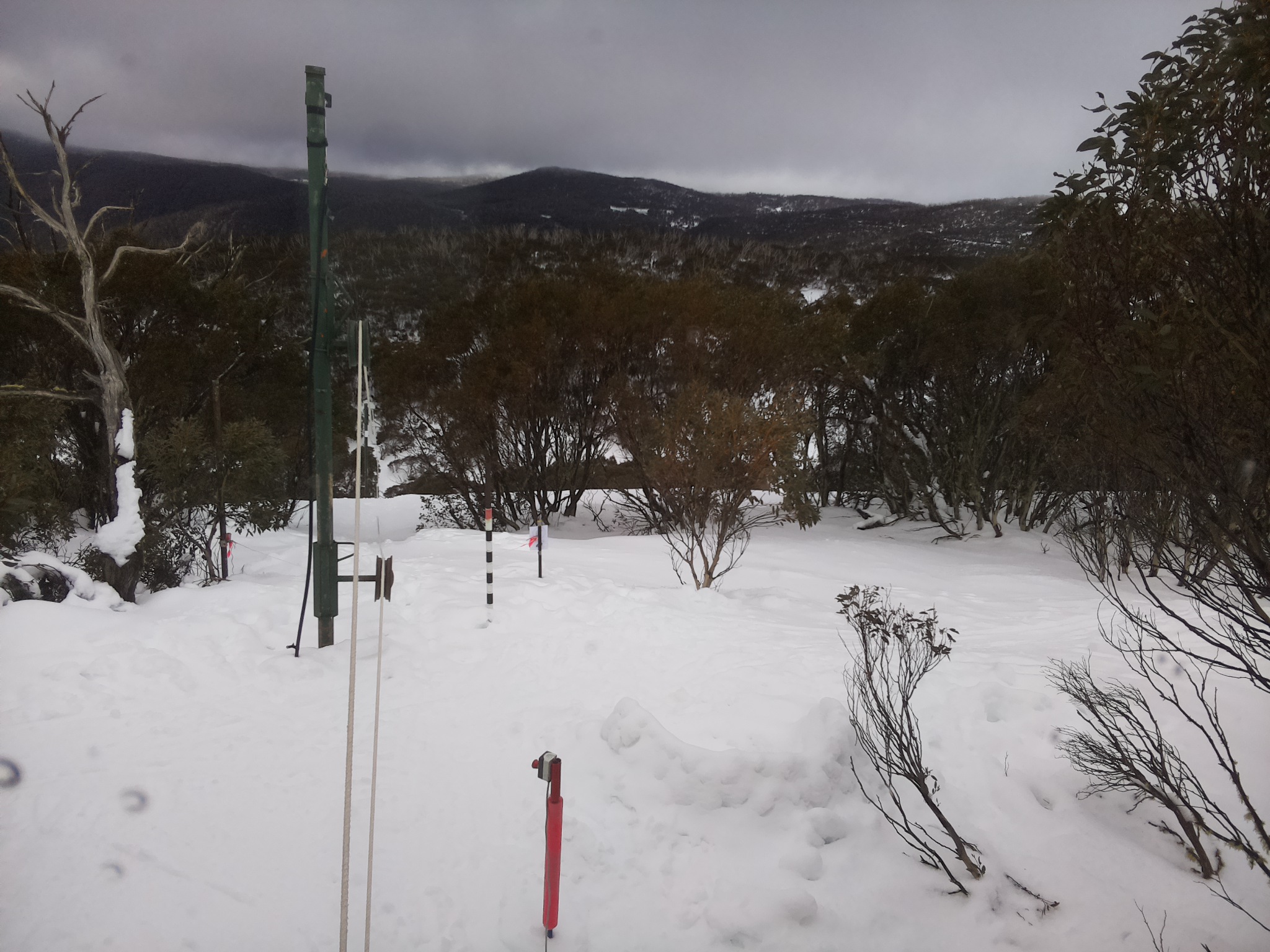 Bogong Web Cam 12:50pm Saturday 2nd of August 2025
