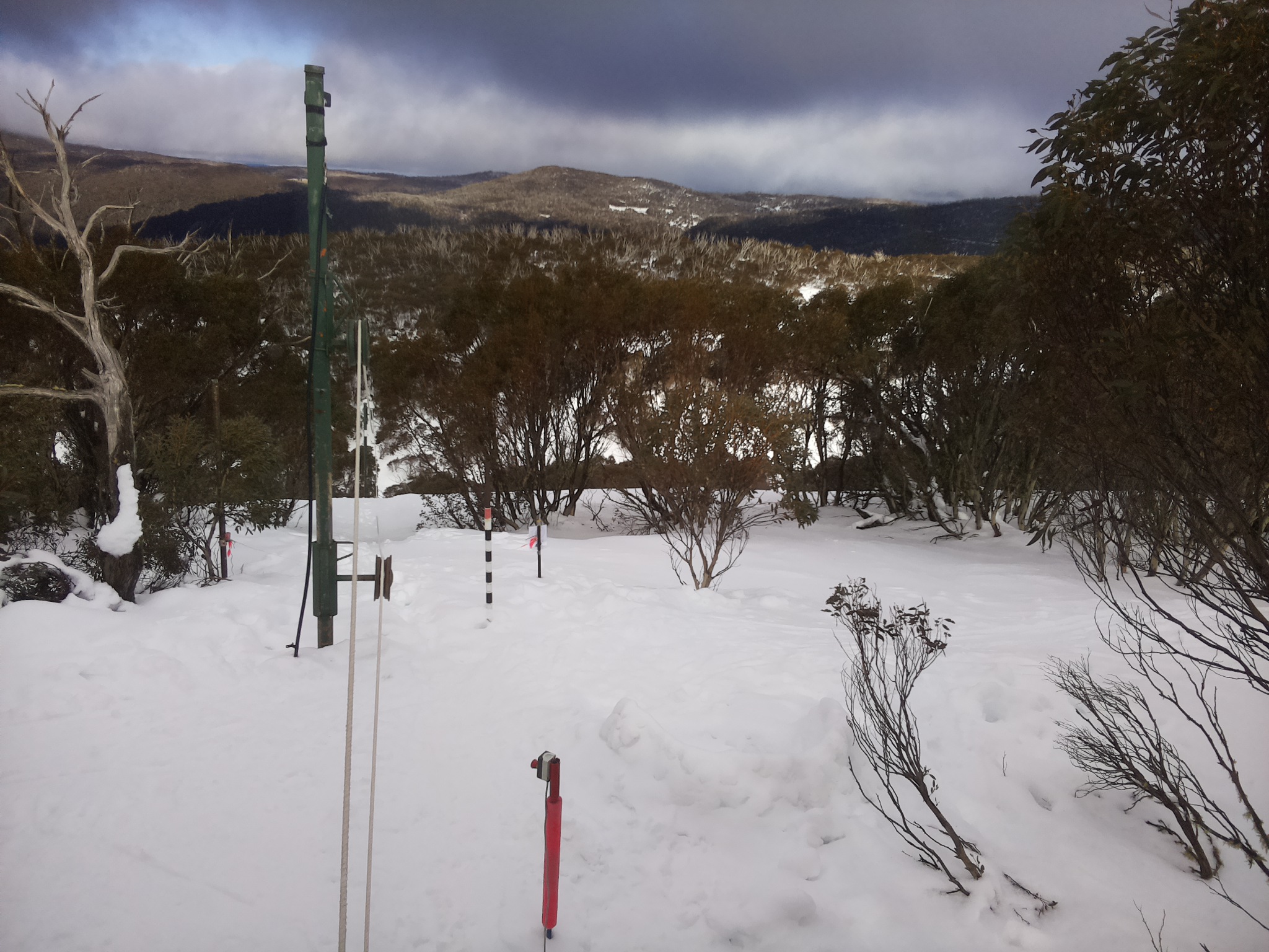 Bogong Web Cam 2:50pm Saturday 2nd of August 2025