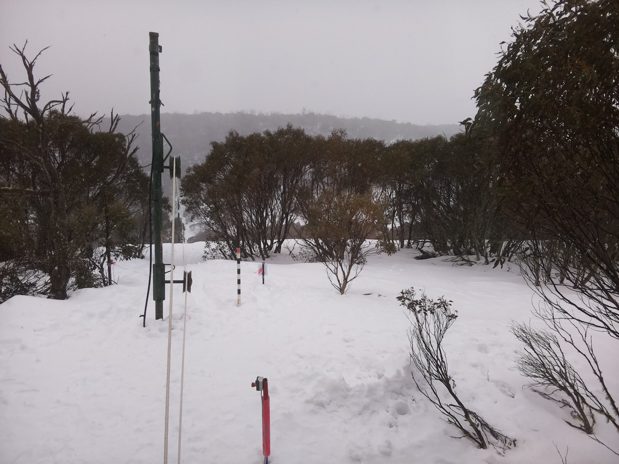Bogong Web Cam 11:40am Wednesday 6th of August 2025