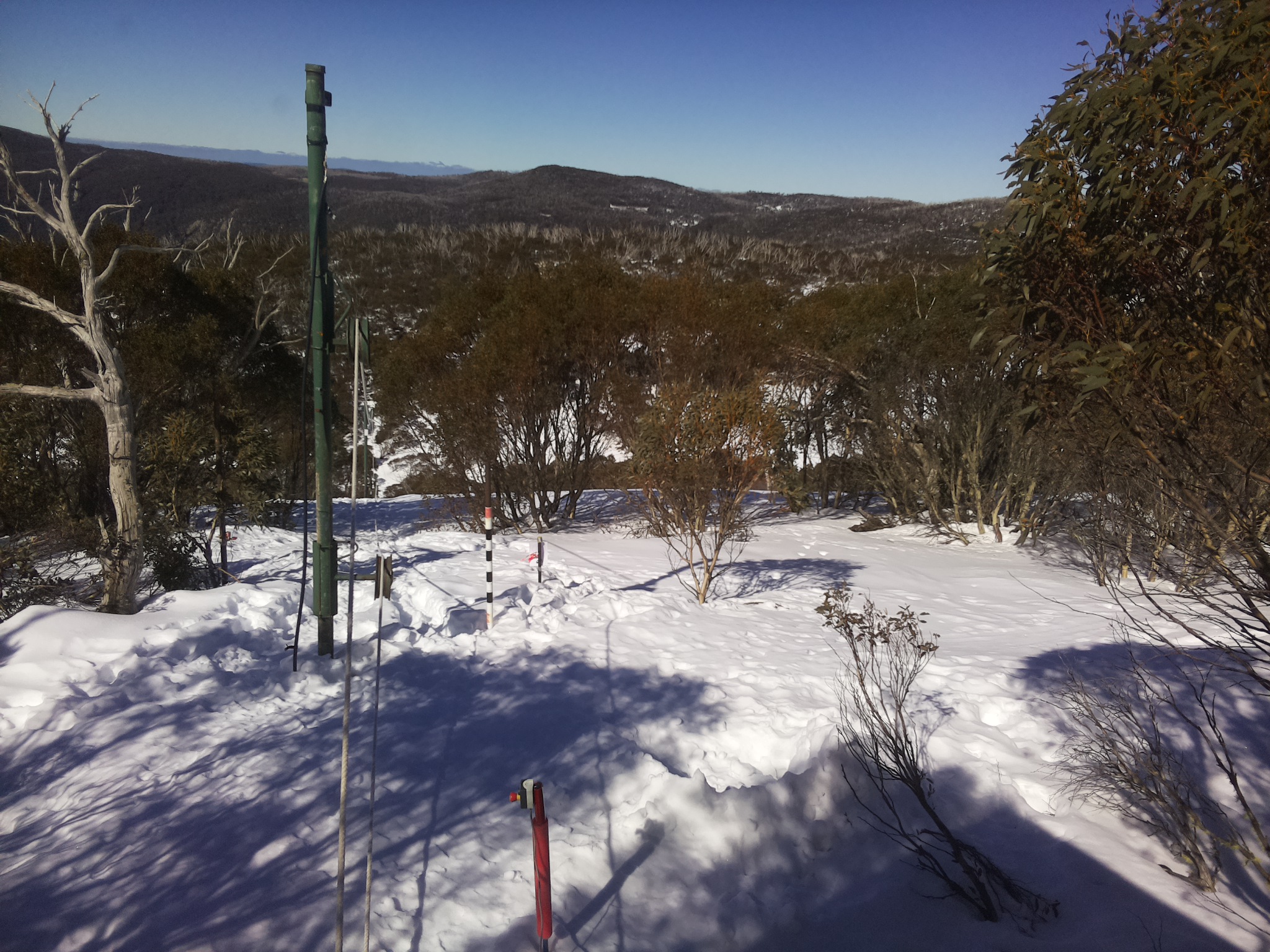 Bogong Web Cam 11:50am Thursday 7th of August 2025