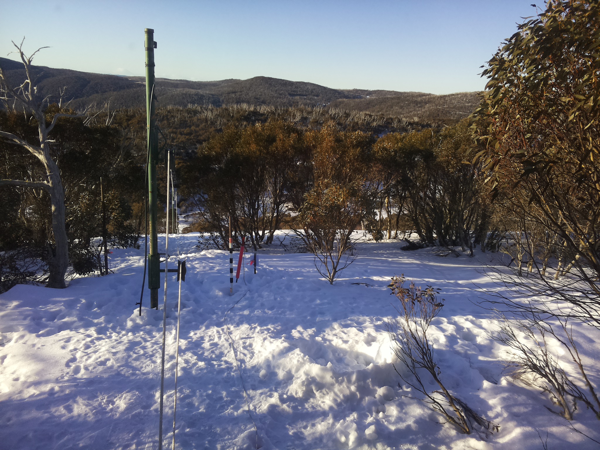 Bogong Web Cam 8:00am Monday 11th of August 2025