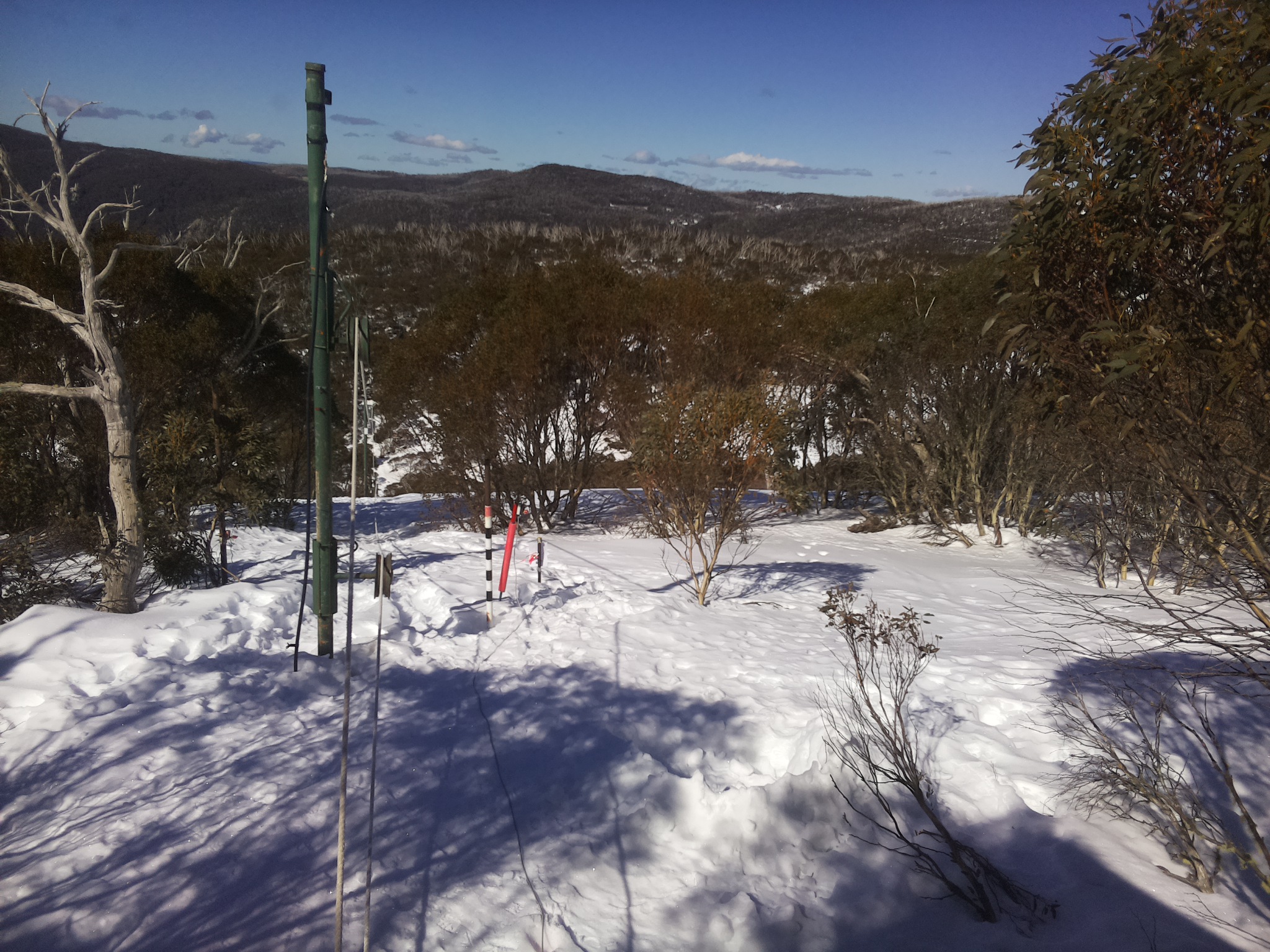Bogong Web Cam 11:40am Monday 11th of August 2025