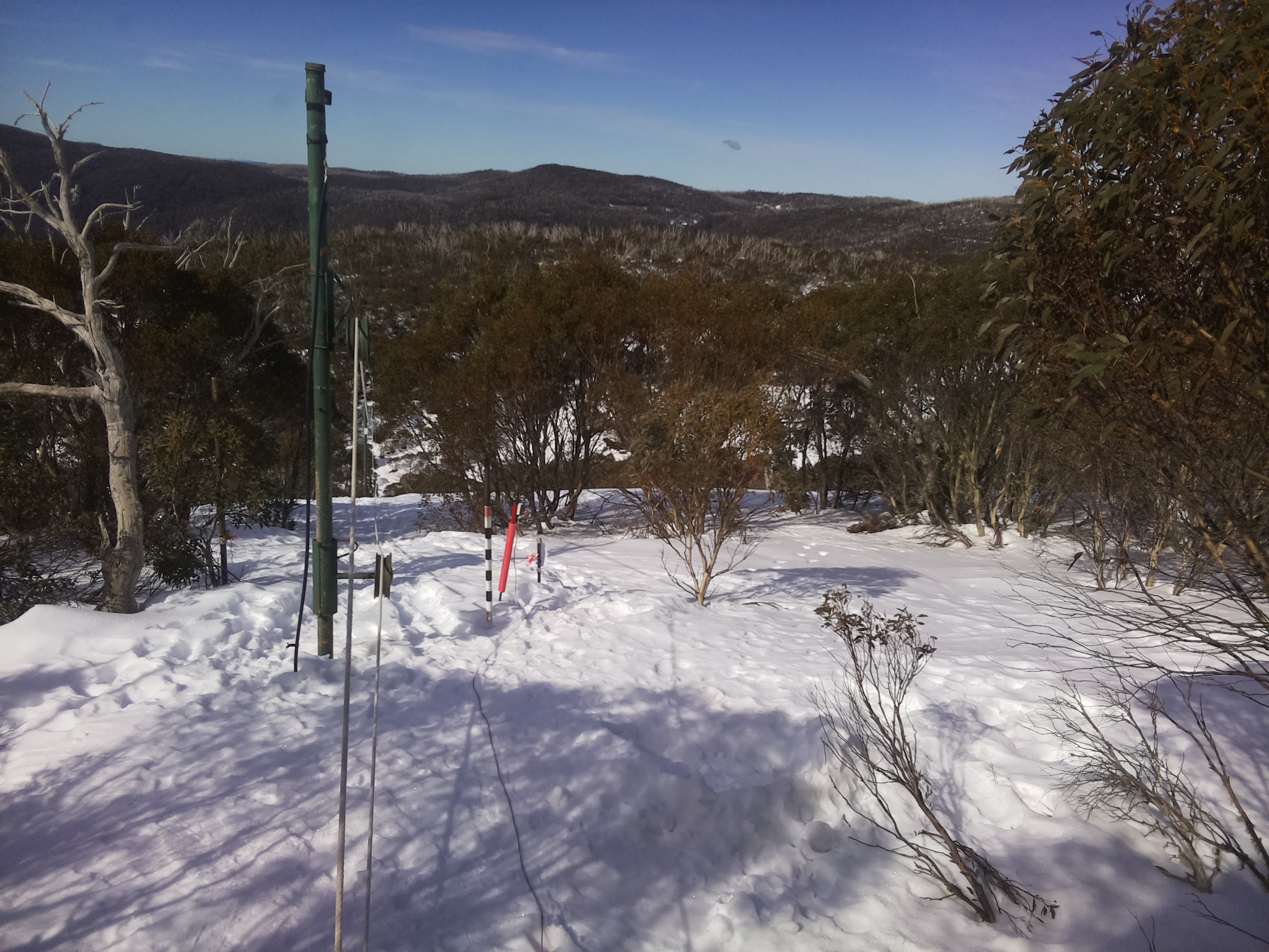 Bogong Web Cam 11:10am Tuesday 12th of August 2025