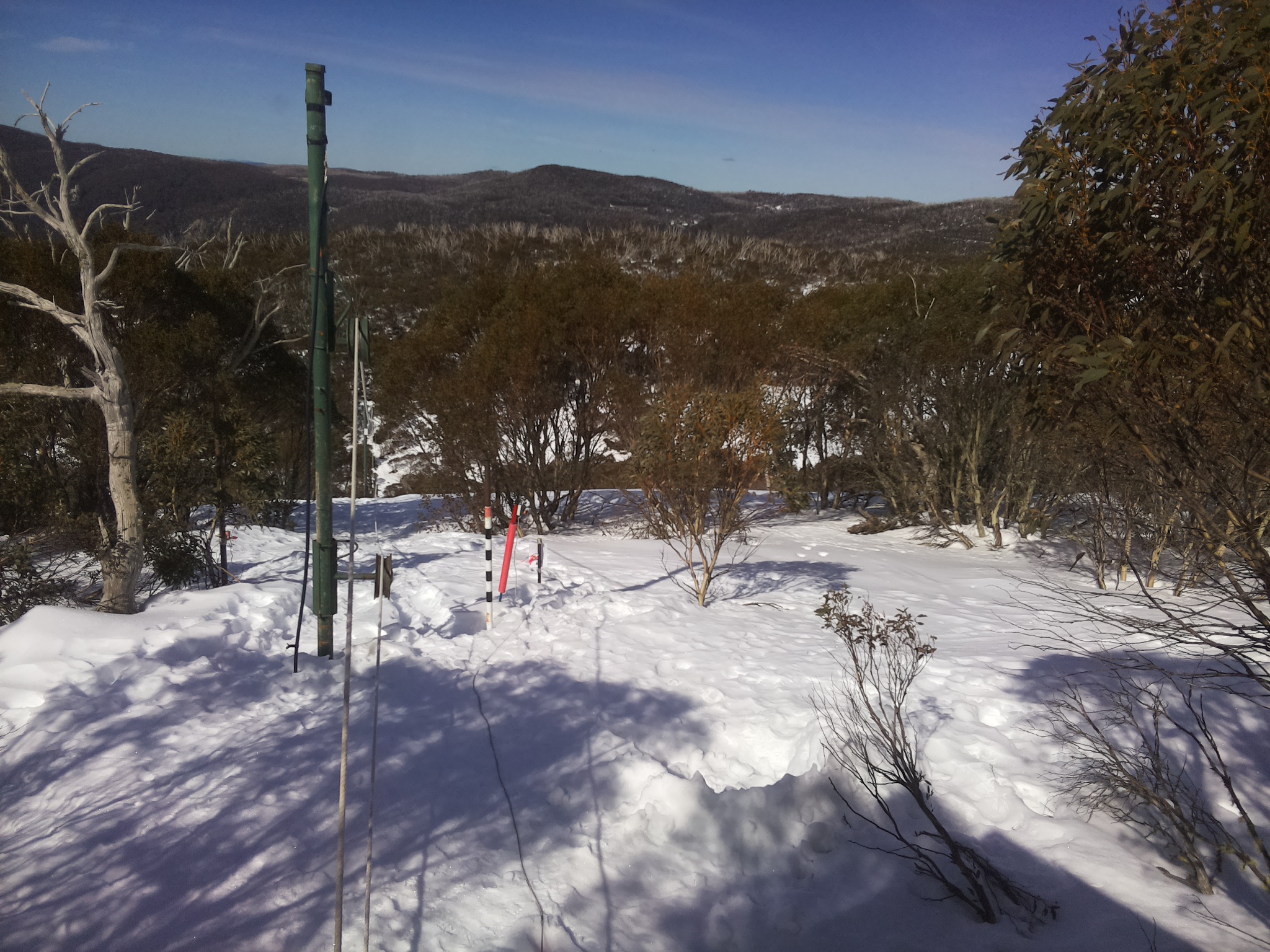Bogong Web Cam 11:50am Tuesday 12th of August 2025