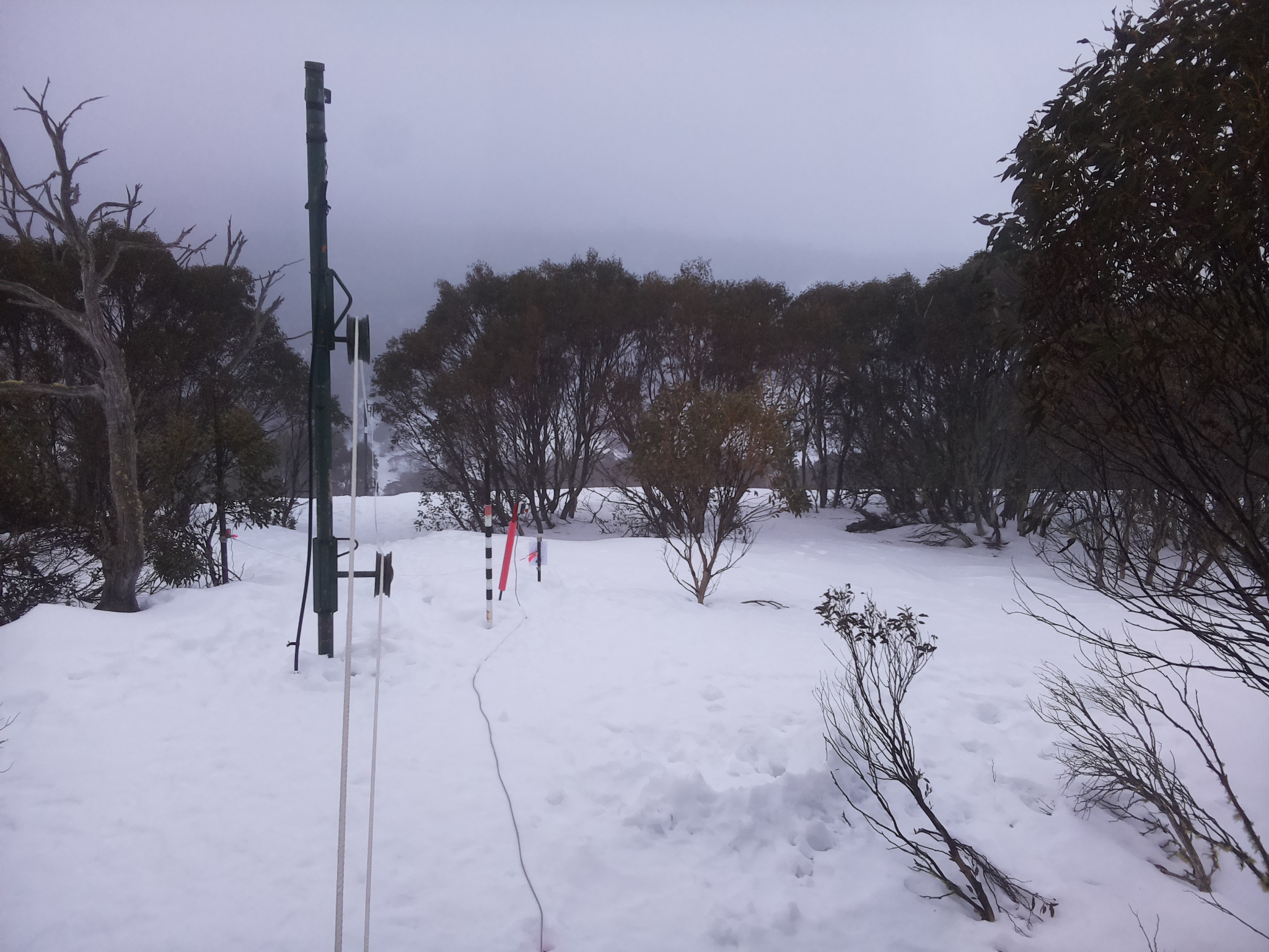 Bogong Web Cam 8:00am Wednesday 13th of August 2025