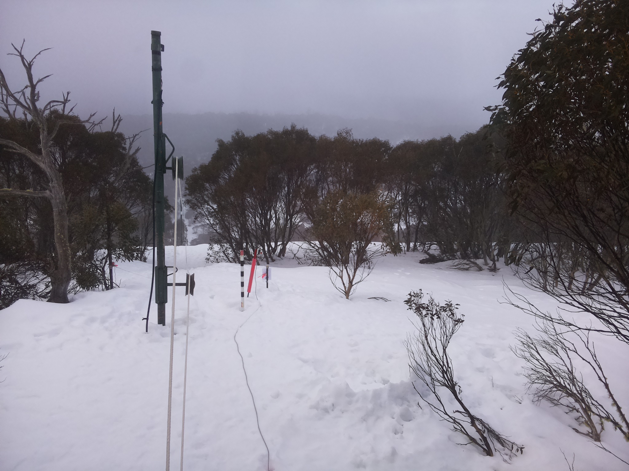 Bogong Web Cam 8:20am Wednesday 13th of August 2025