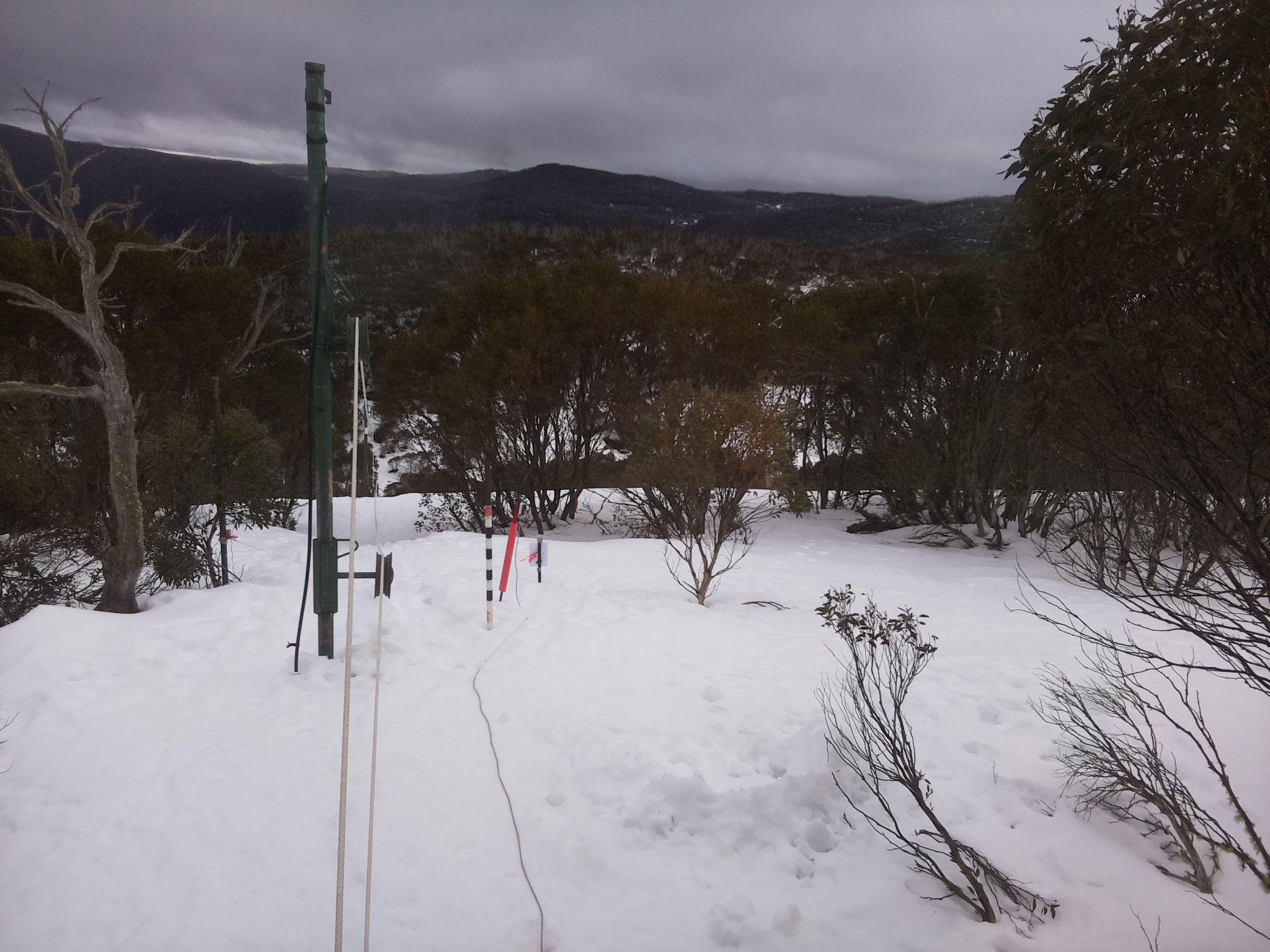 Bogong Web Cam 8:50am Wednesday 13th of August 2025