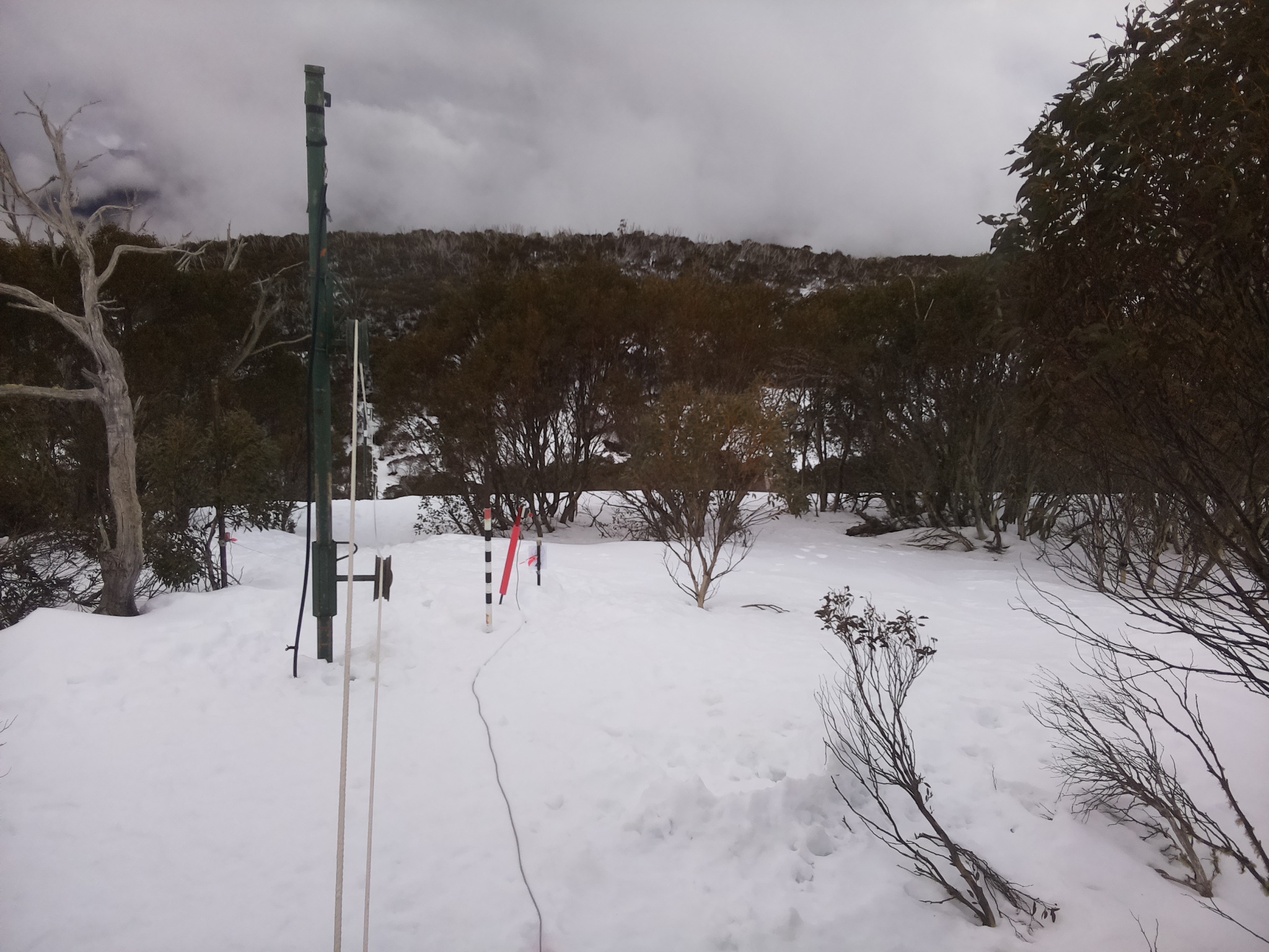 Bogong Web Cam 10:40am Wednesday 13th of August 2025