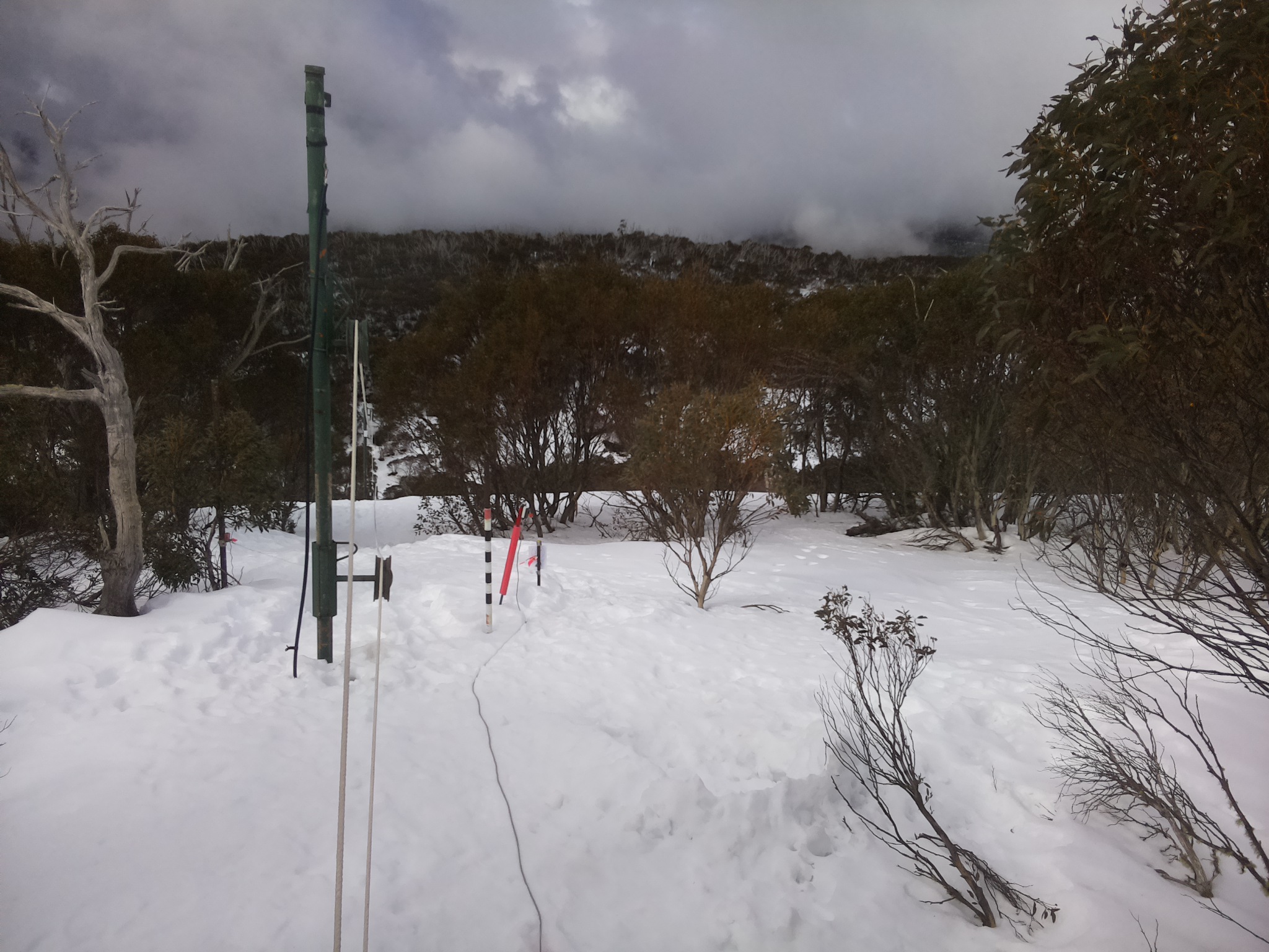 Bogong Web Cam 10:50am Wednesday 13th of August 2025