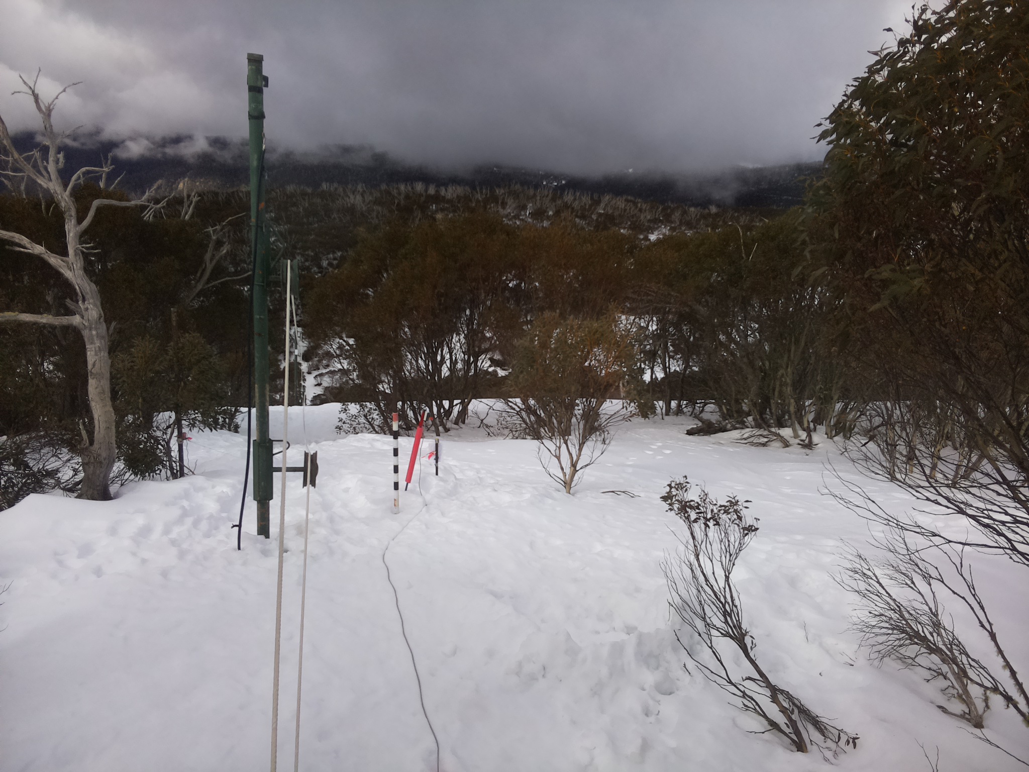 Bogong Web Cam 11:10am Wednesday 13th of August 2025