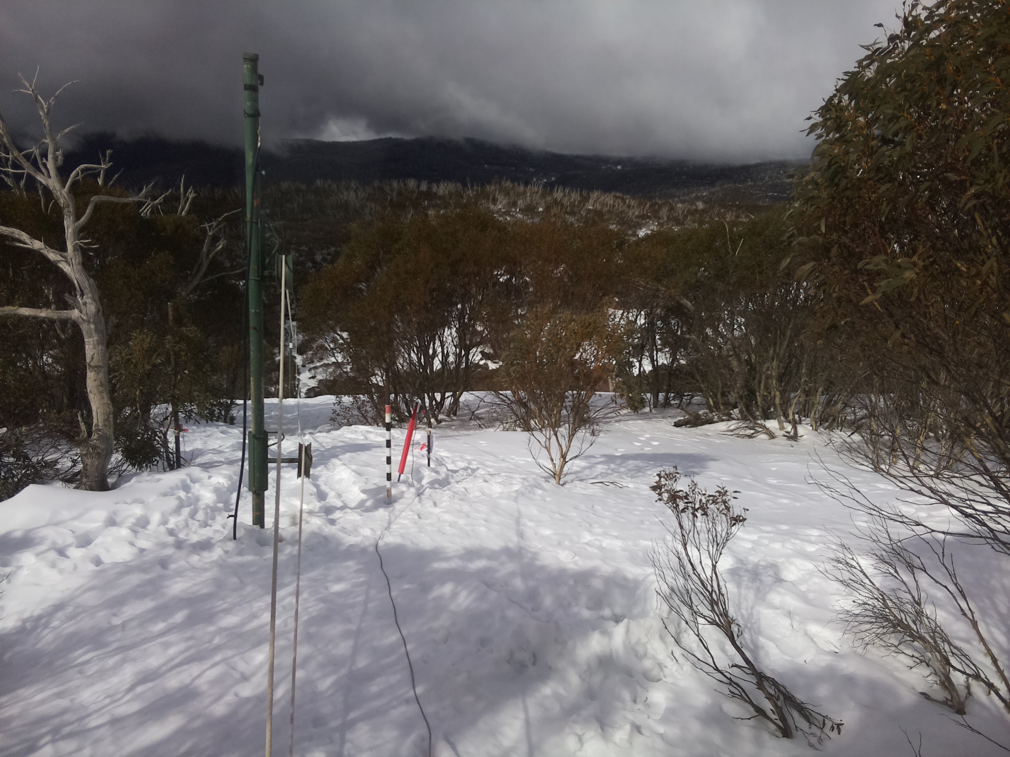 Bogong Web Cam 11:20am Wednesday 13th of August 2025