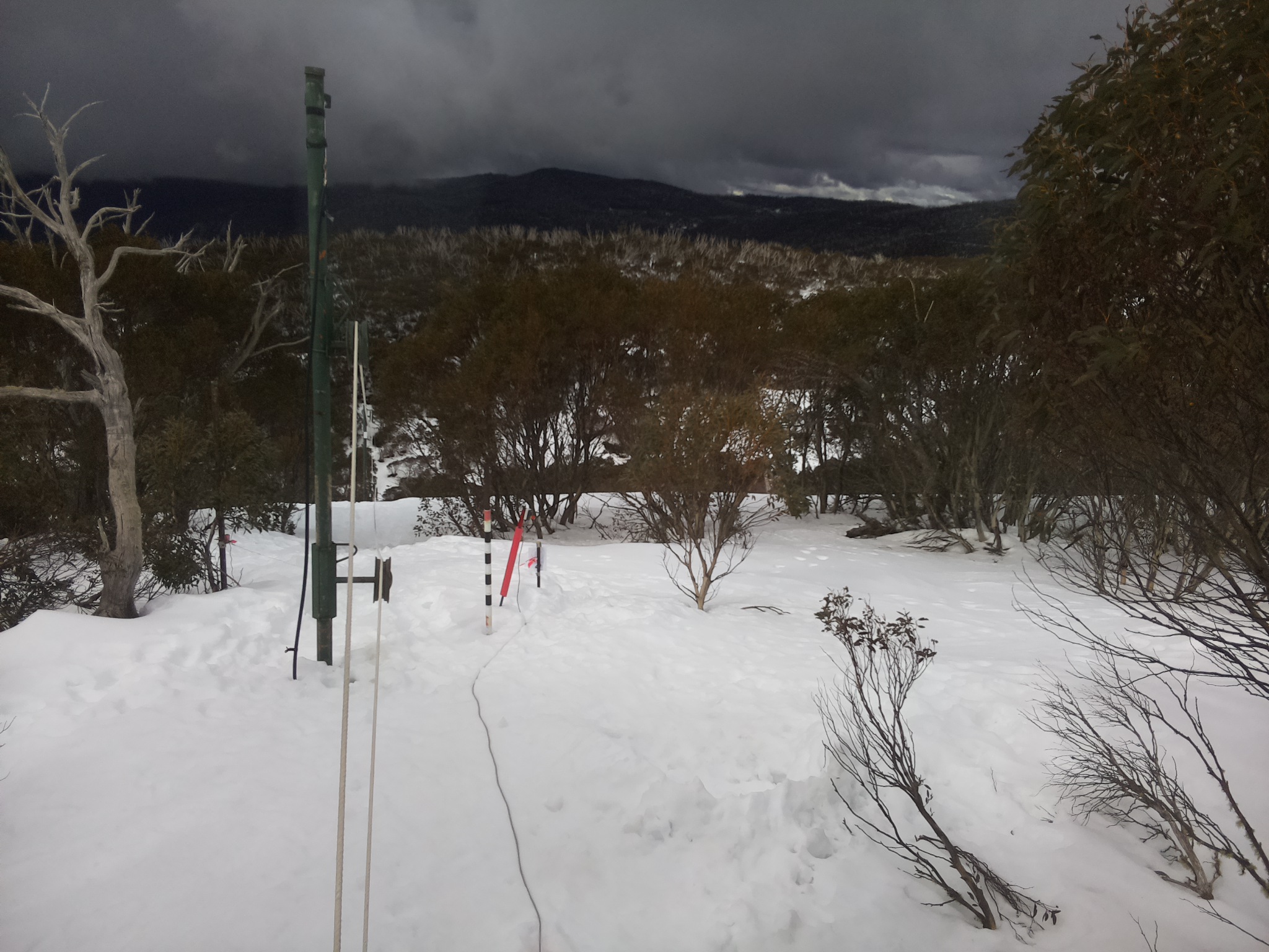 Bogong Web Cam 11:30am Wednesday 13th of August 2025
