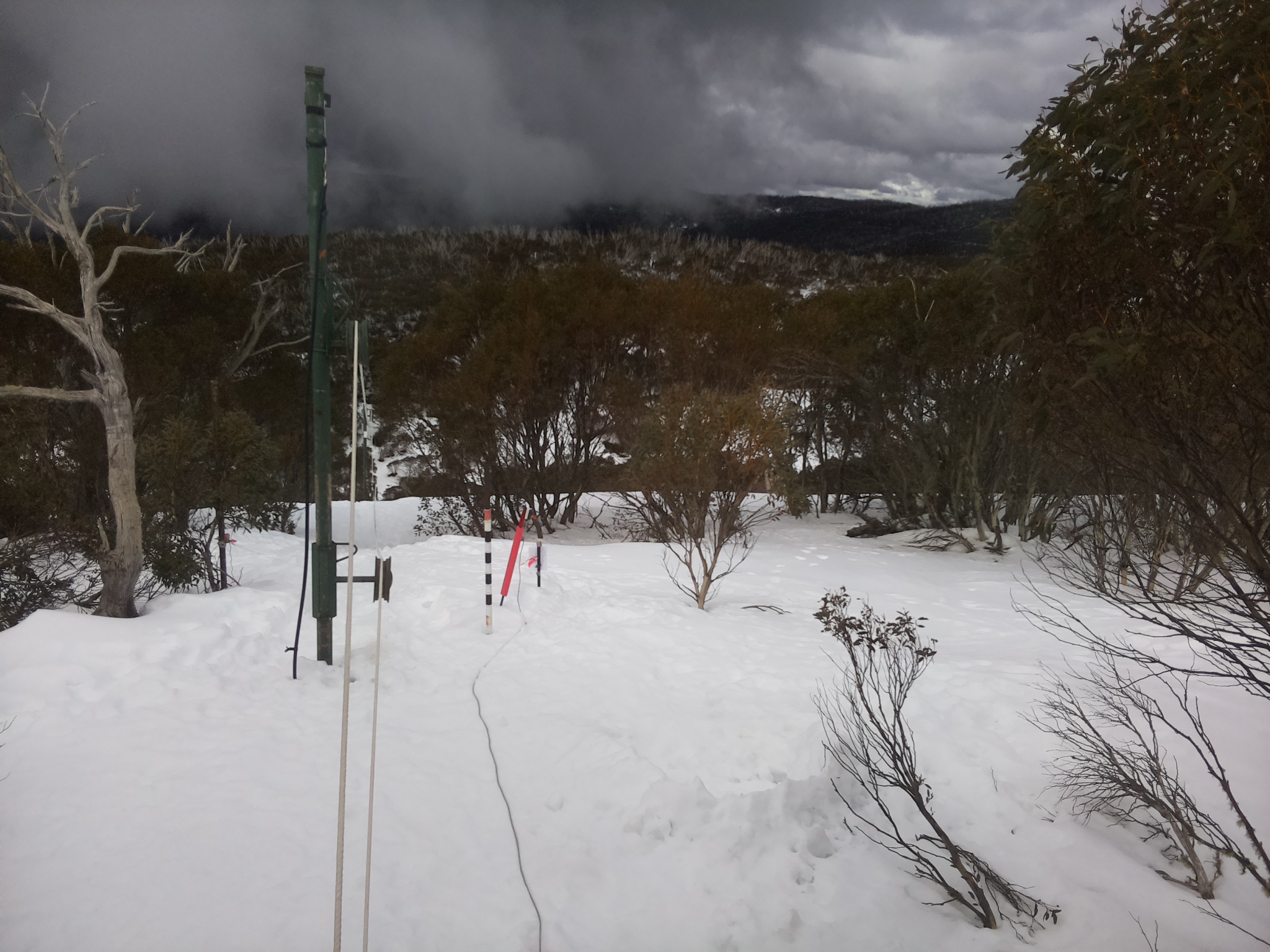 Bogong Web Cam 11:40am Wednesday 13th of August 2025