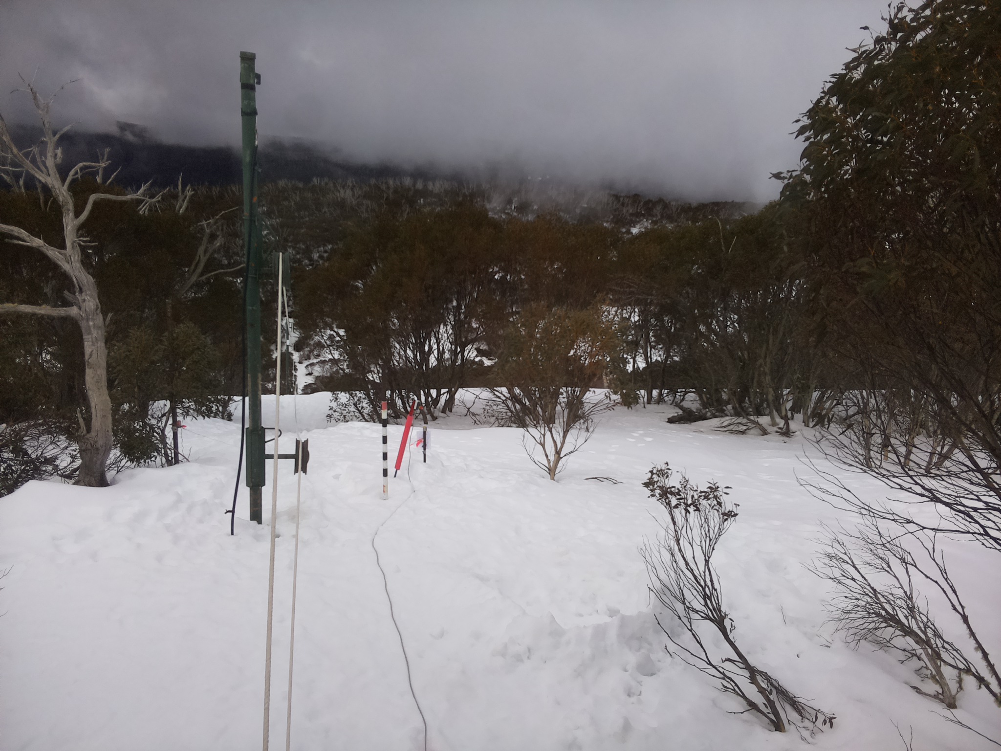 Bogong Web Cam 11:50am Wednesday 13th of August 2025