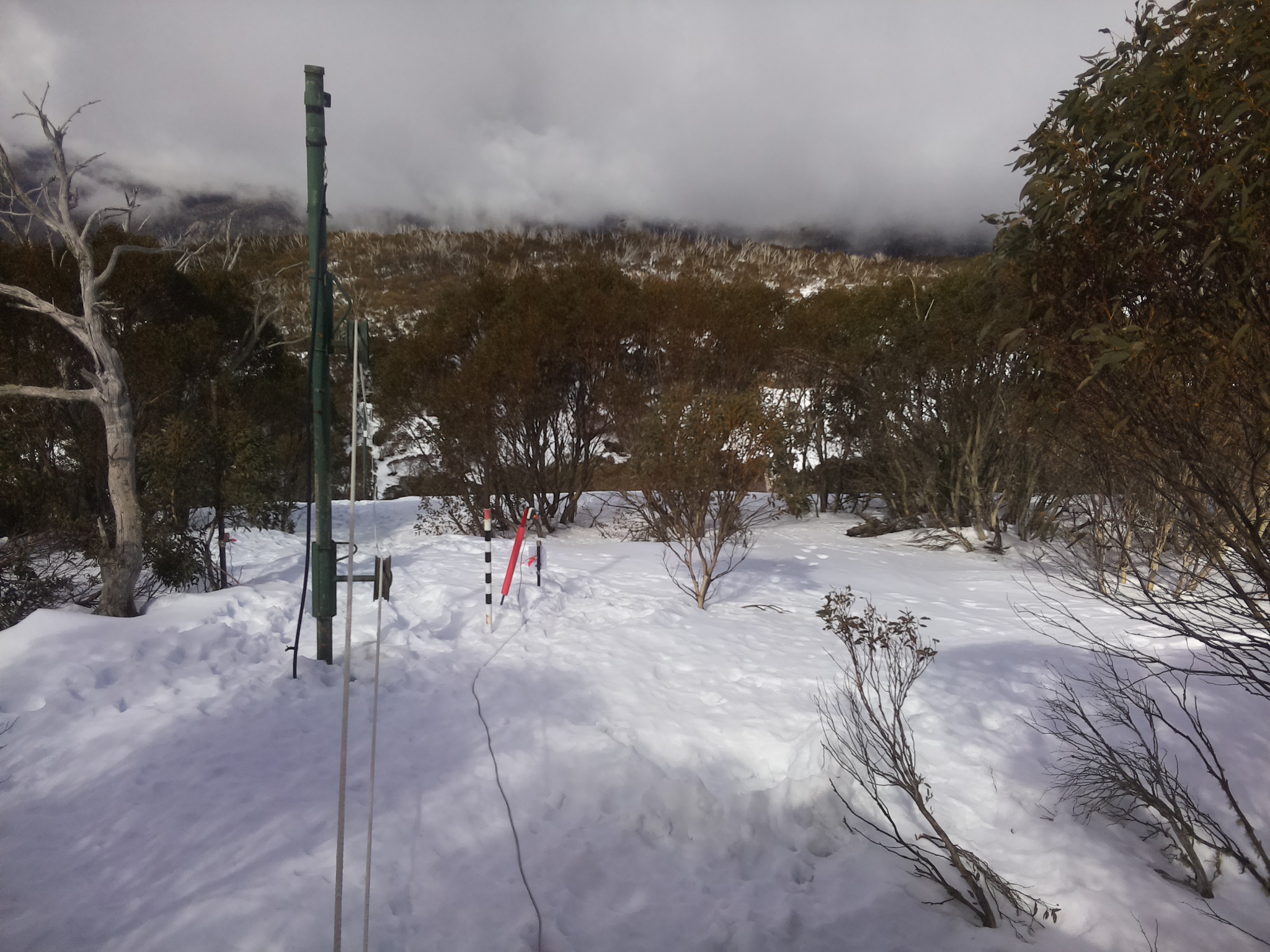 Bogong Web Cam 12:20pm Wednesday 13th of August 2025
