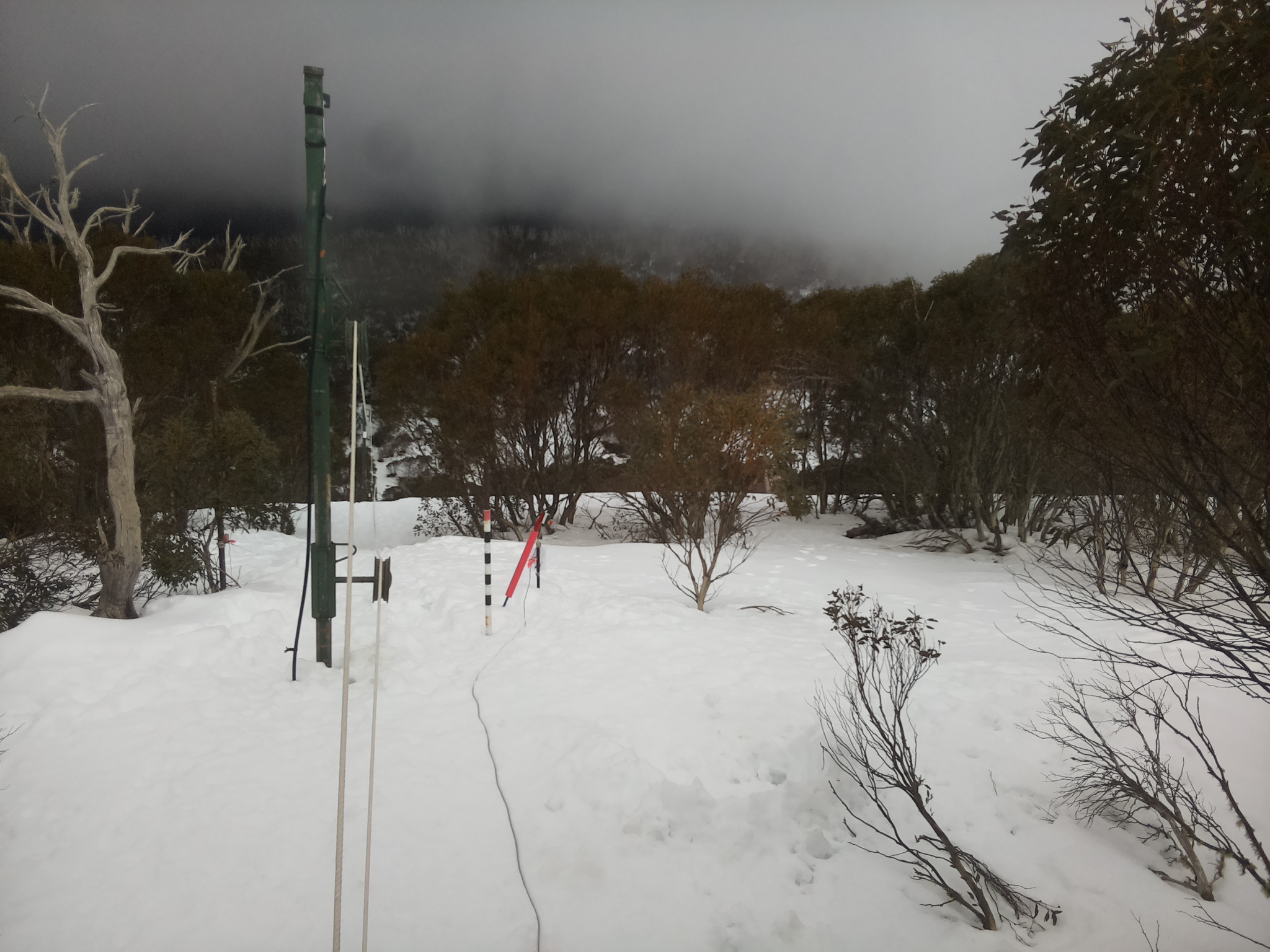 Bogong Web Cam 2:40pm Wednesday 13th of August 2025