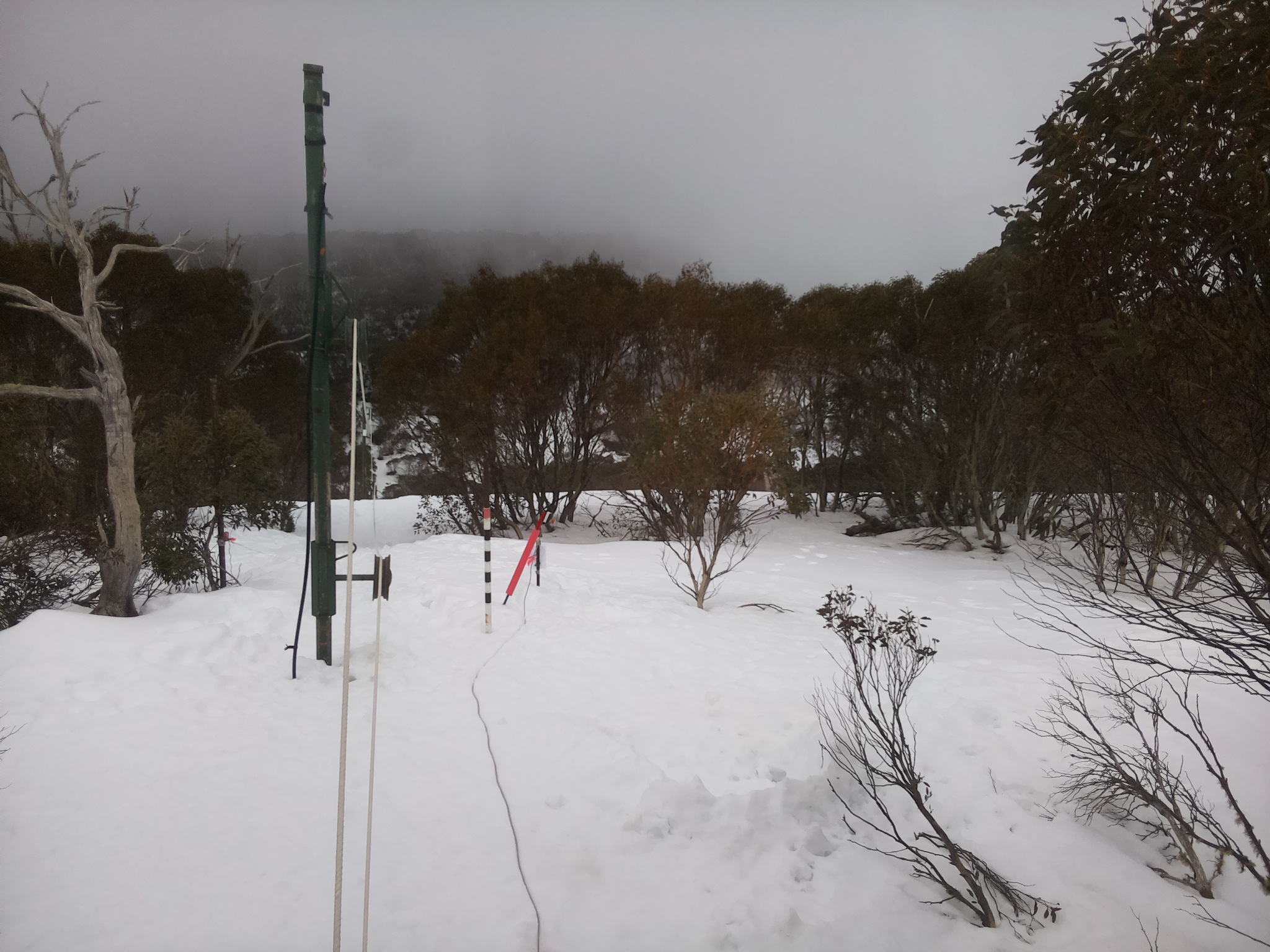 Bogong Web Cam 3:00pm Wednesday 13th of August 2025